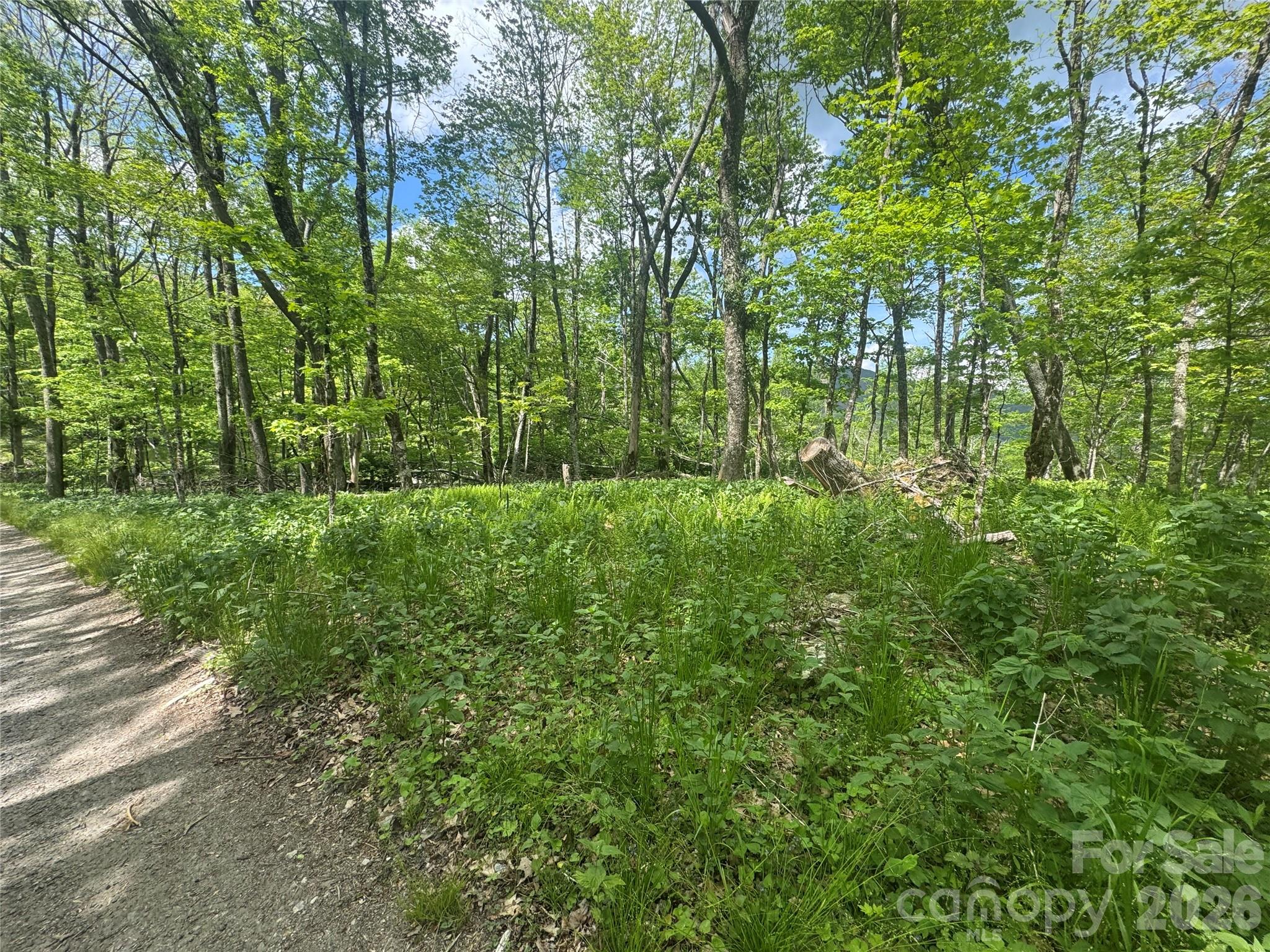 1026 Wolfs Head Court