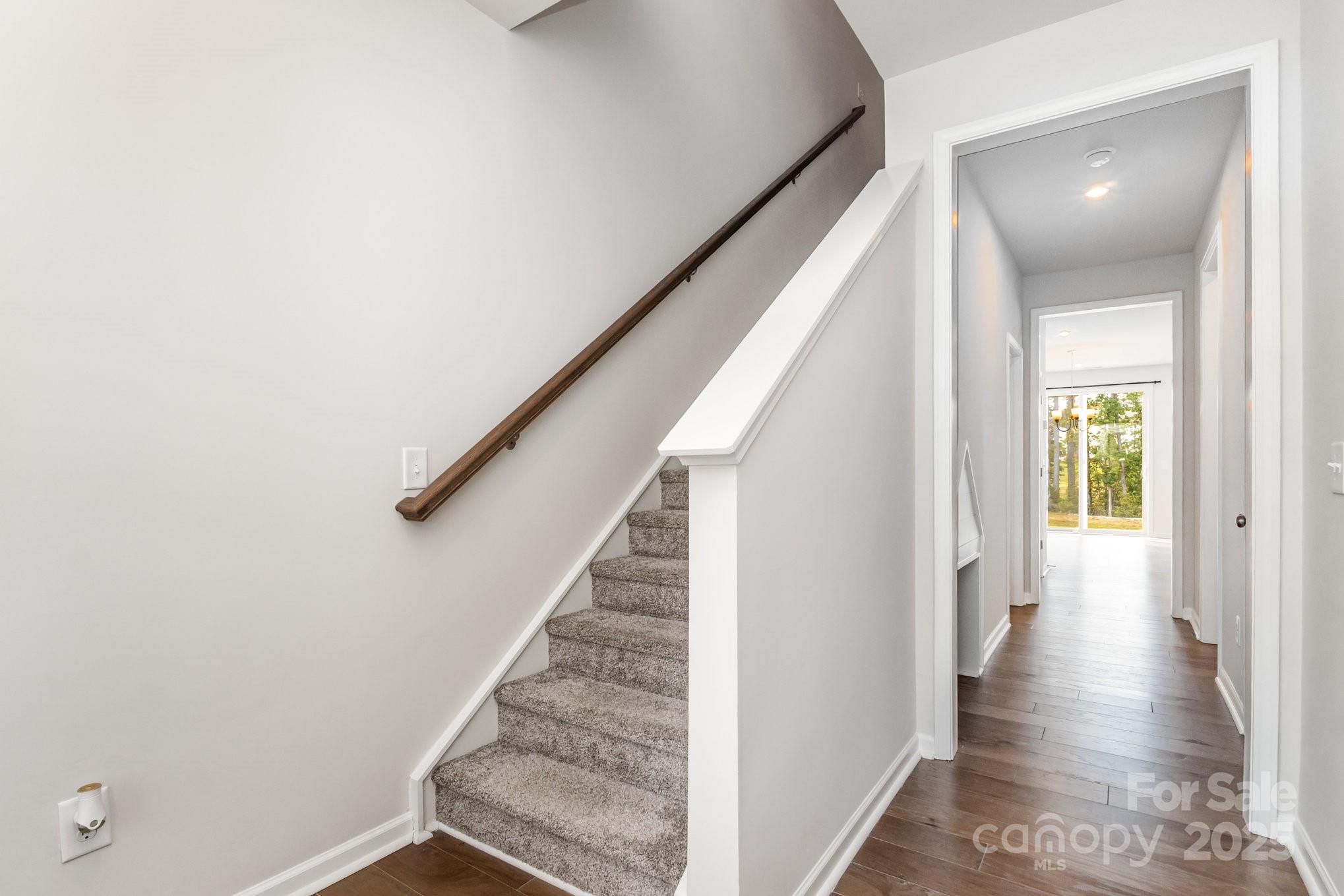 Fifteen 15 Cannon - Residential