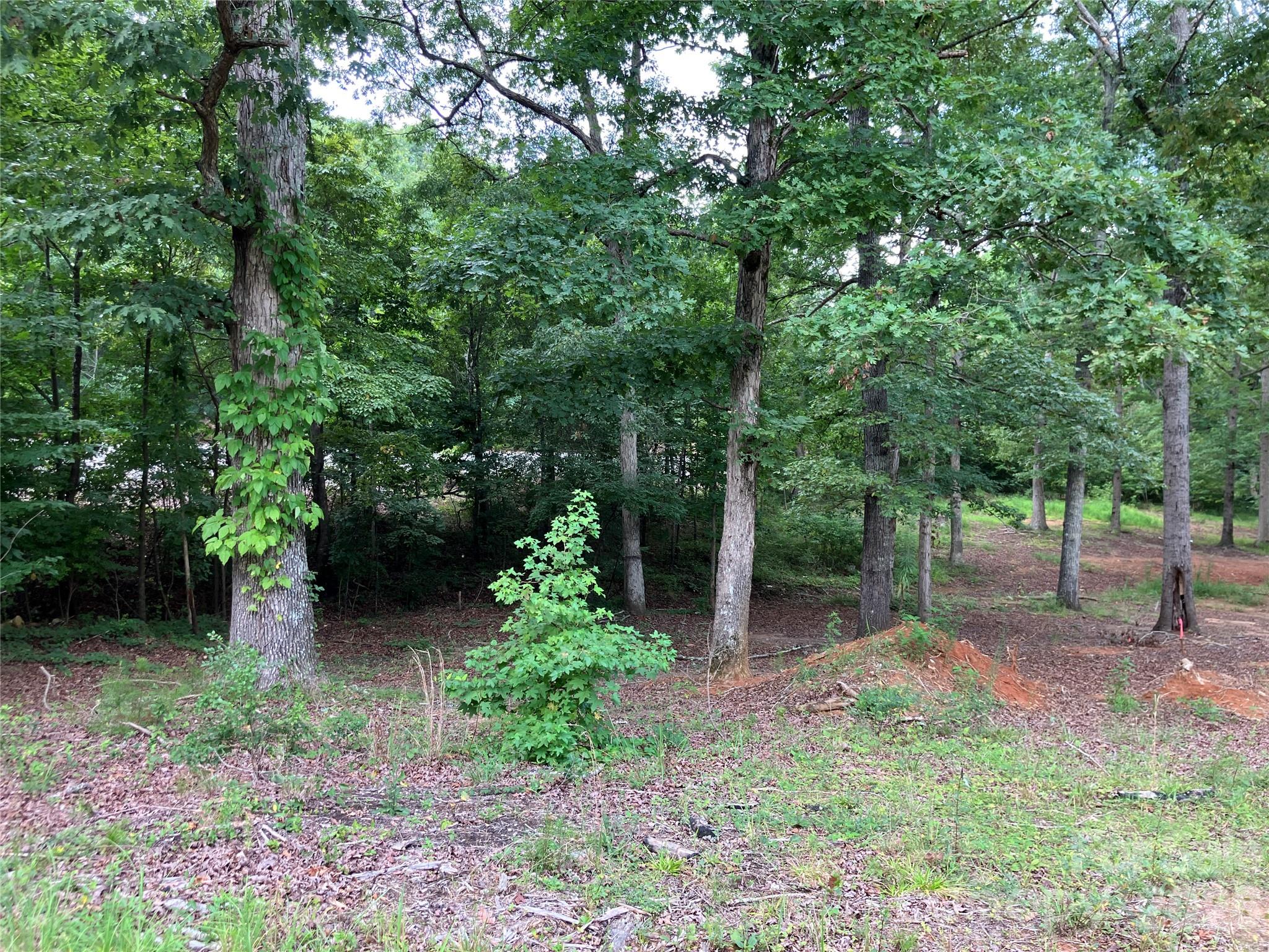 750 Hines Road