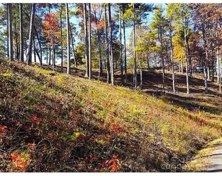 31 Timber Hill Drive 19