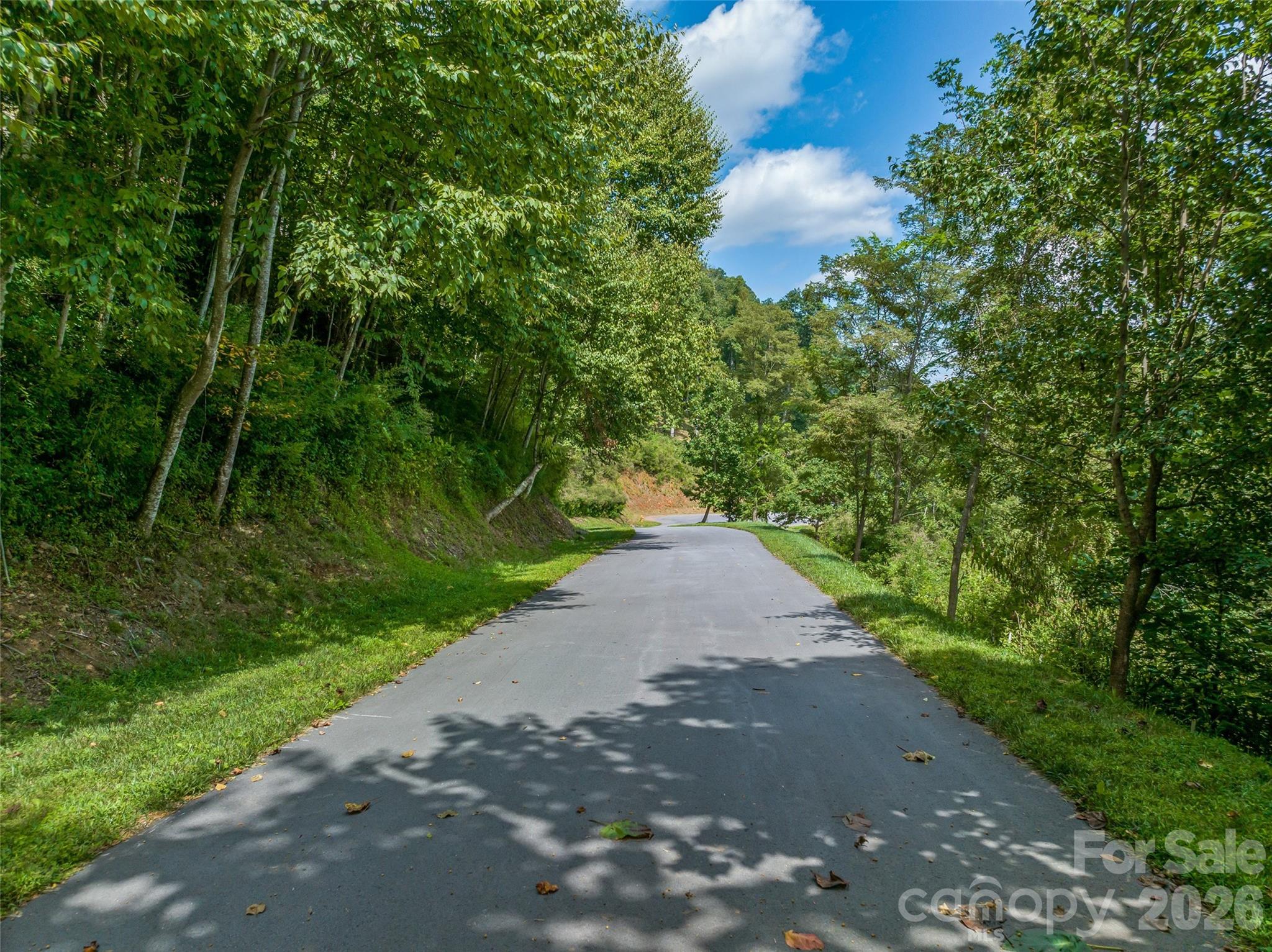 177 Rolling Stone Court 61