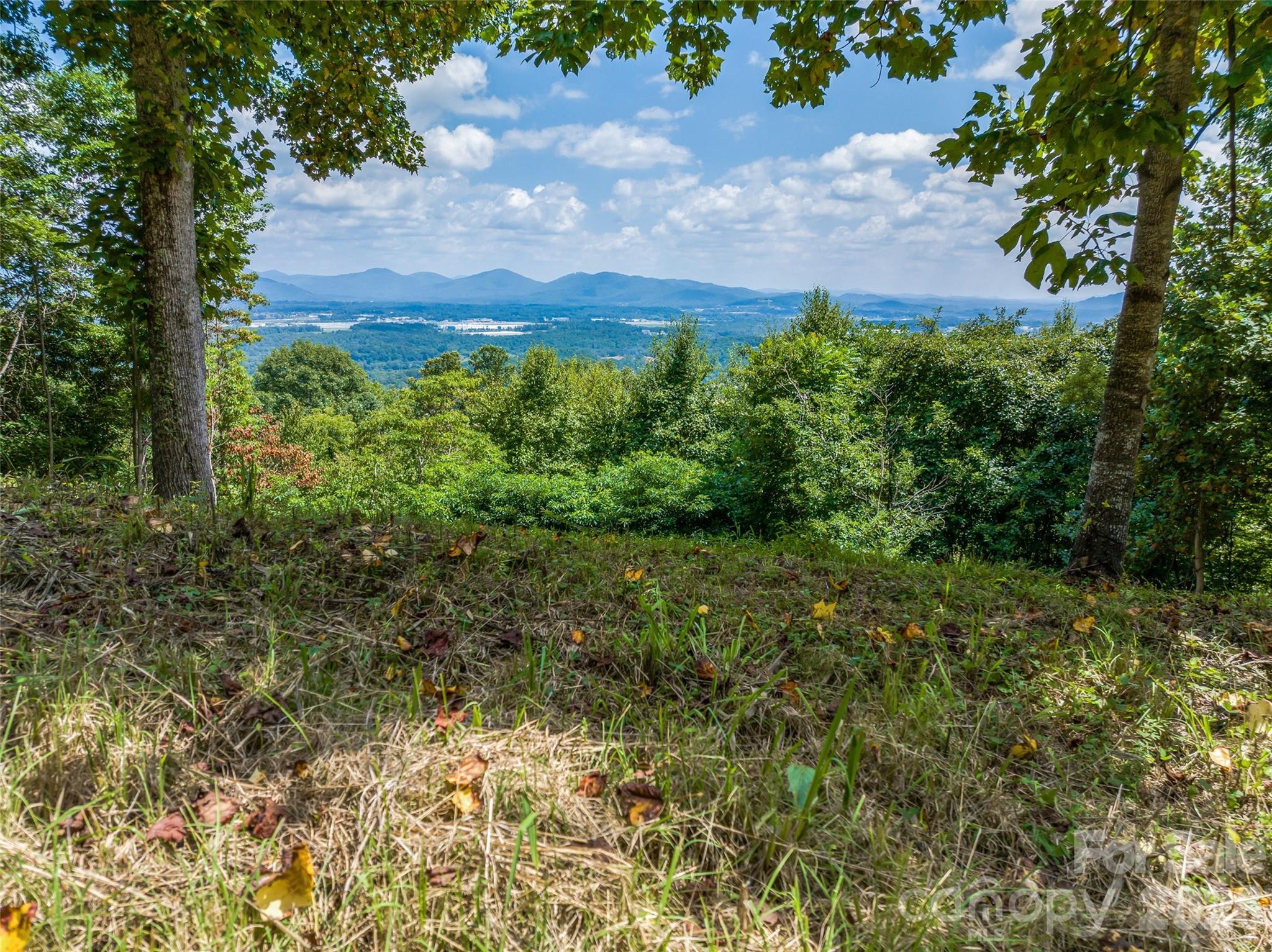 177 Rolling Stone Court Unit 61, Arden, NC, 28704