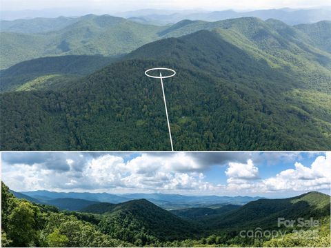 99999 Billy Cove Road Candler NC 28715