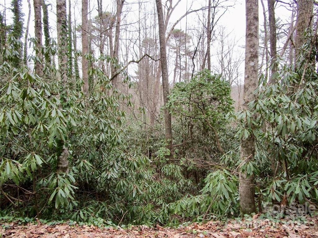 Toxaway Falls - Land