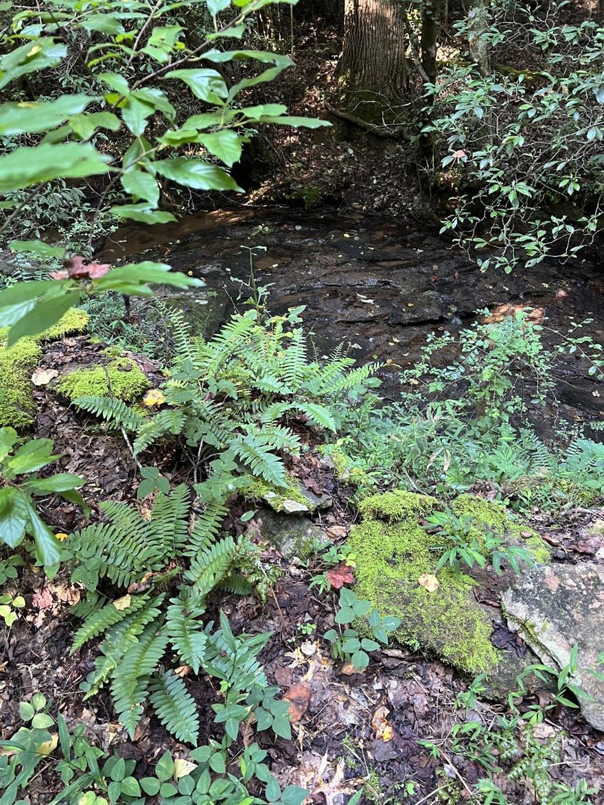 Privacy on a stream!  This 10 acre property has a driveway cut in with a gravel base, a 12 x 16 storage building and a bored well that is approx. 125' deep.  The driveway is along the creek and leads upto a nice building site where the current owner planned to build. There are wild blueberry bushes on the property, wild ferns along the creek and a block retaining wall in place.  This is a central location approximately 20 miles to Shelby, 20 miles to downtown Forest City and 25 miles to Morganton.