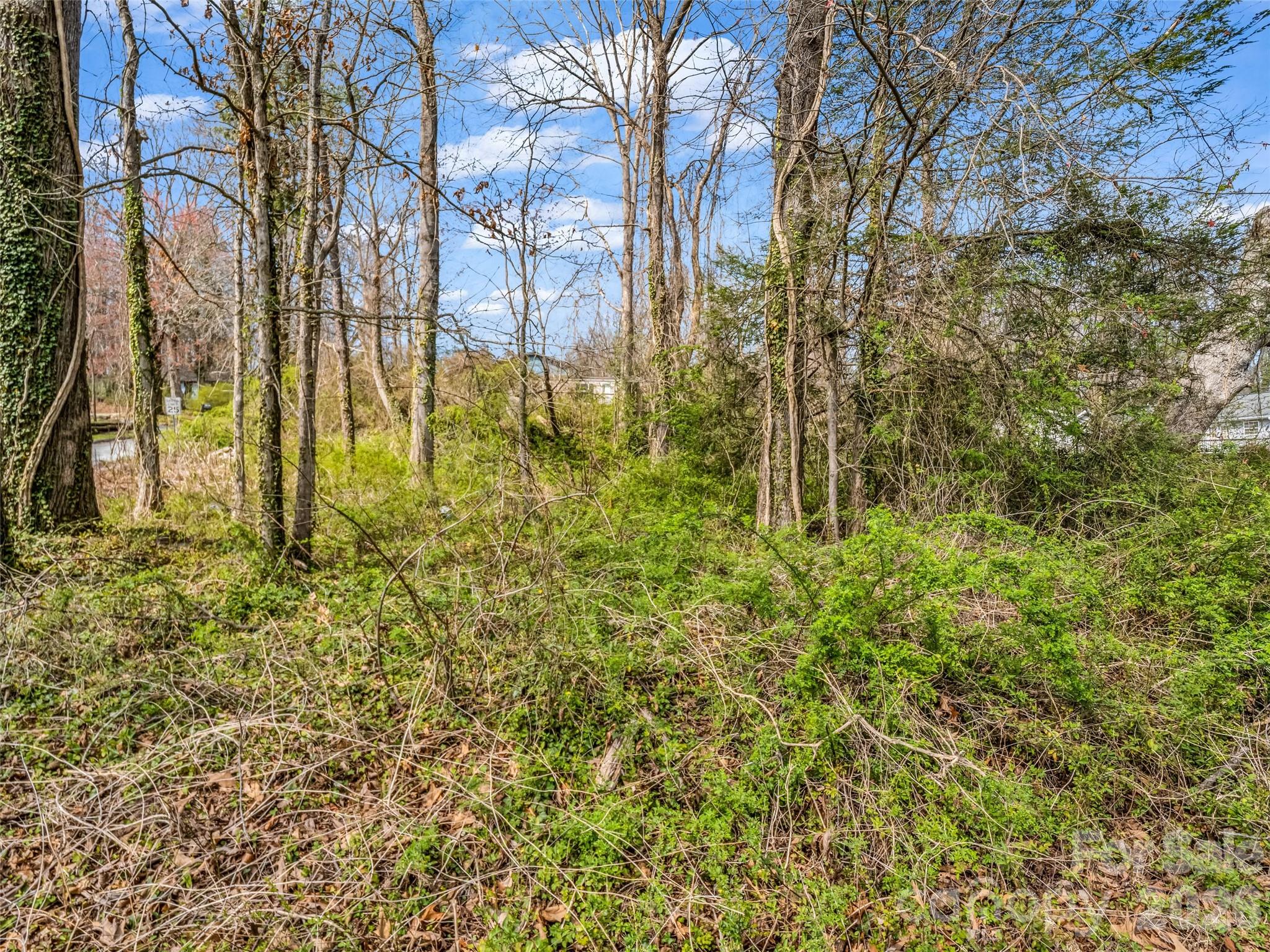 Osceola Lake Park - Land