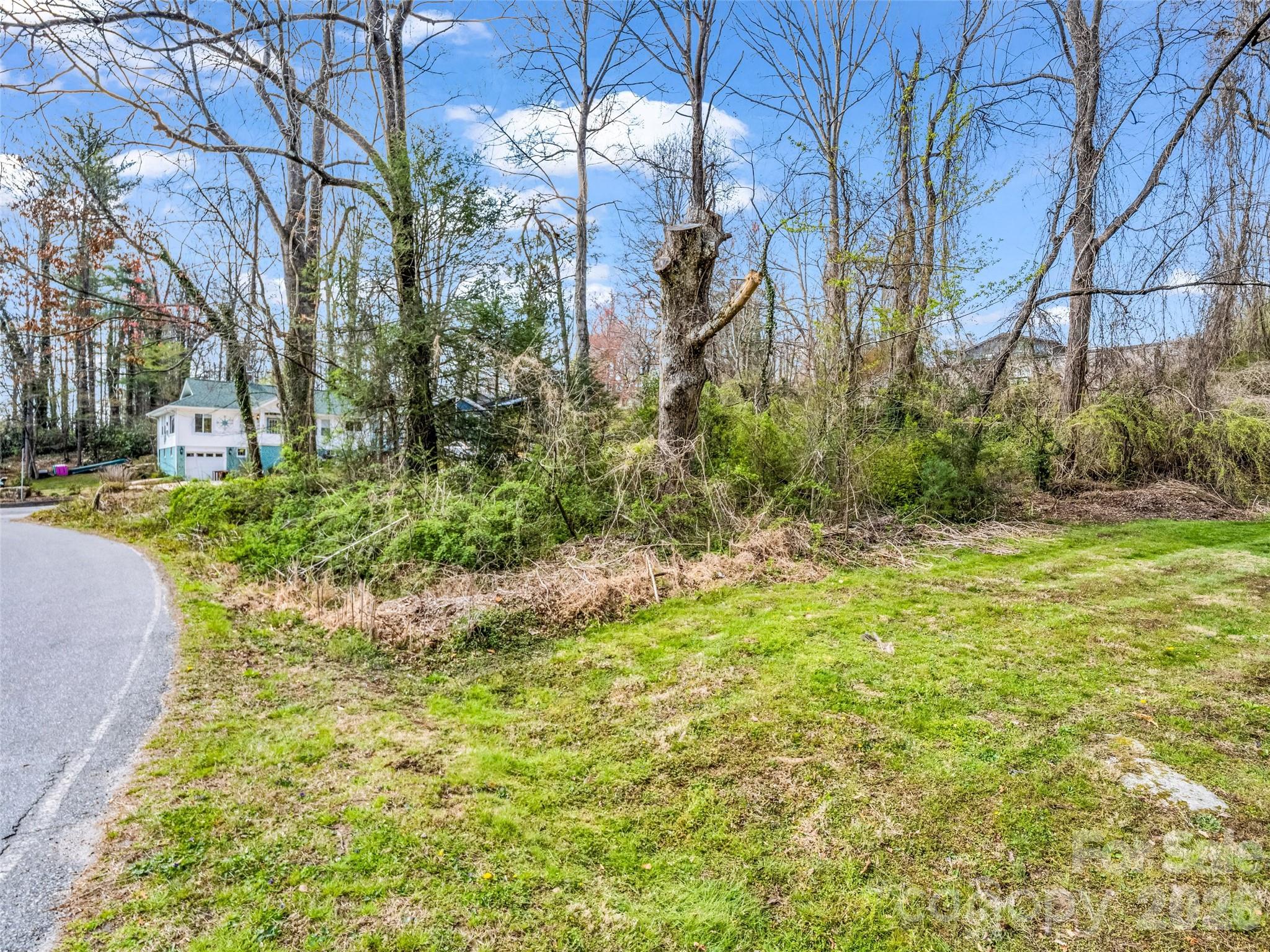 Osceola Lake Park - Land