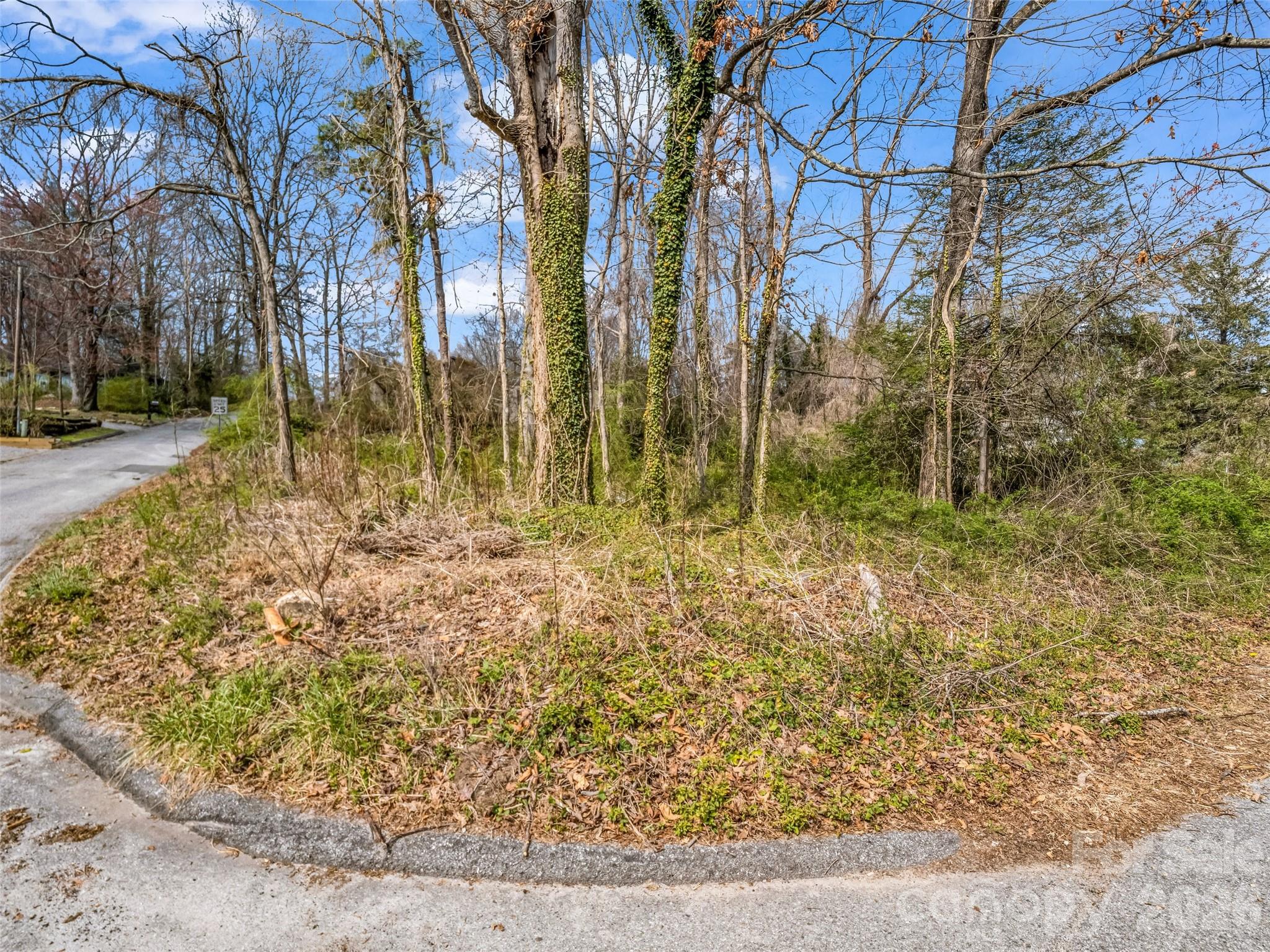 Osceola Lake Park - Land