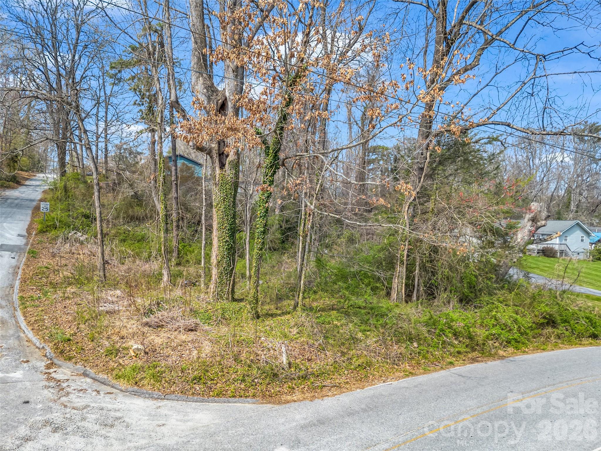 Osceola Lake Park - Land