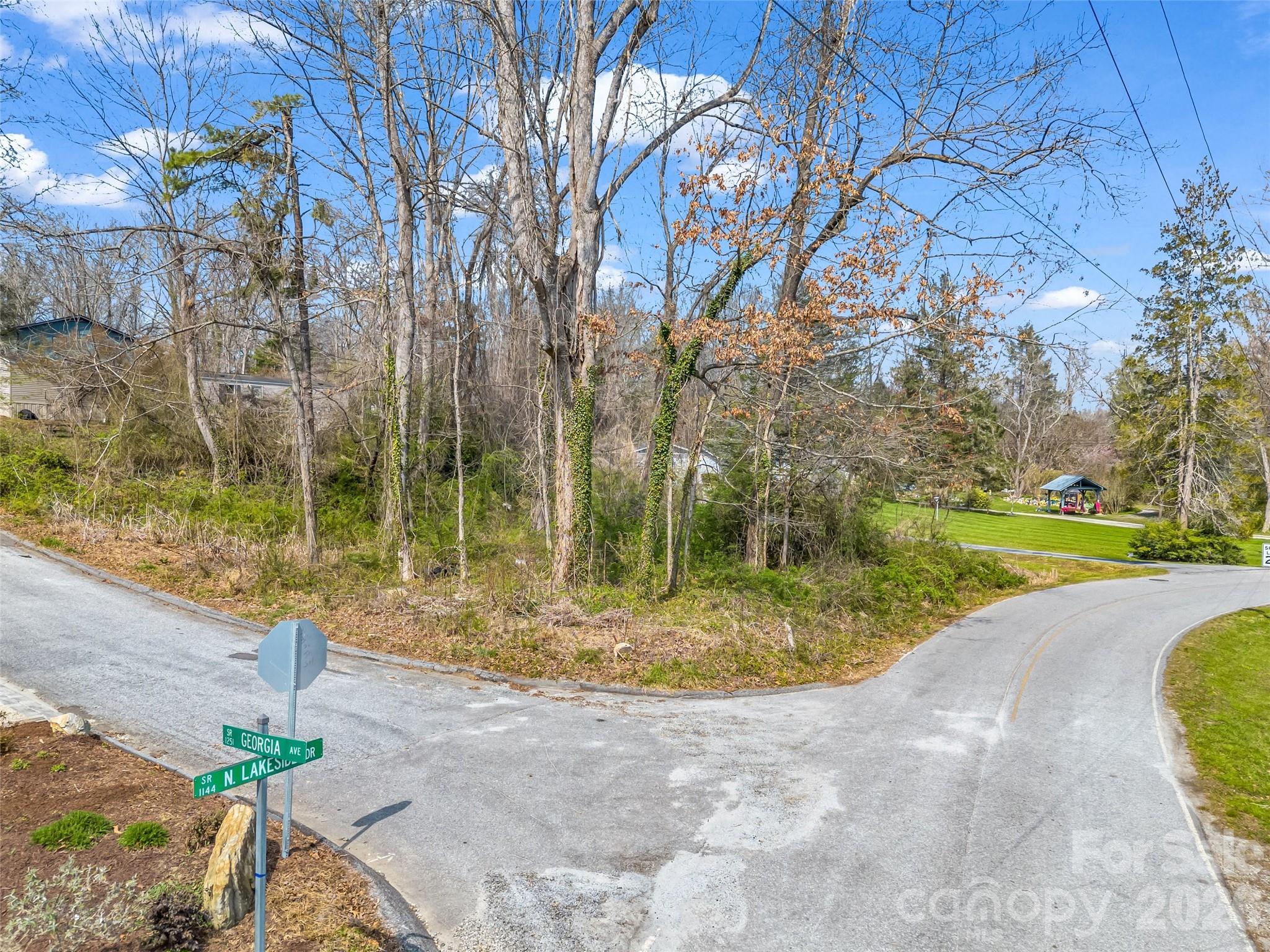 Osceola Lake Park - Land