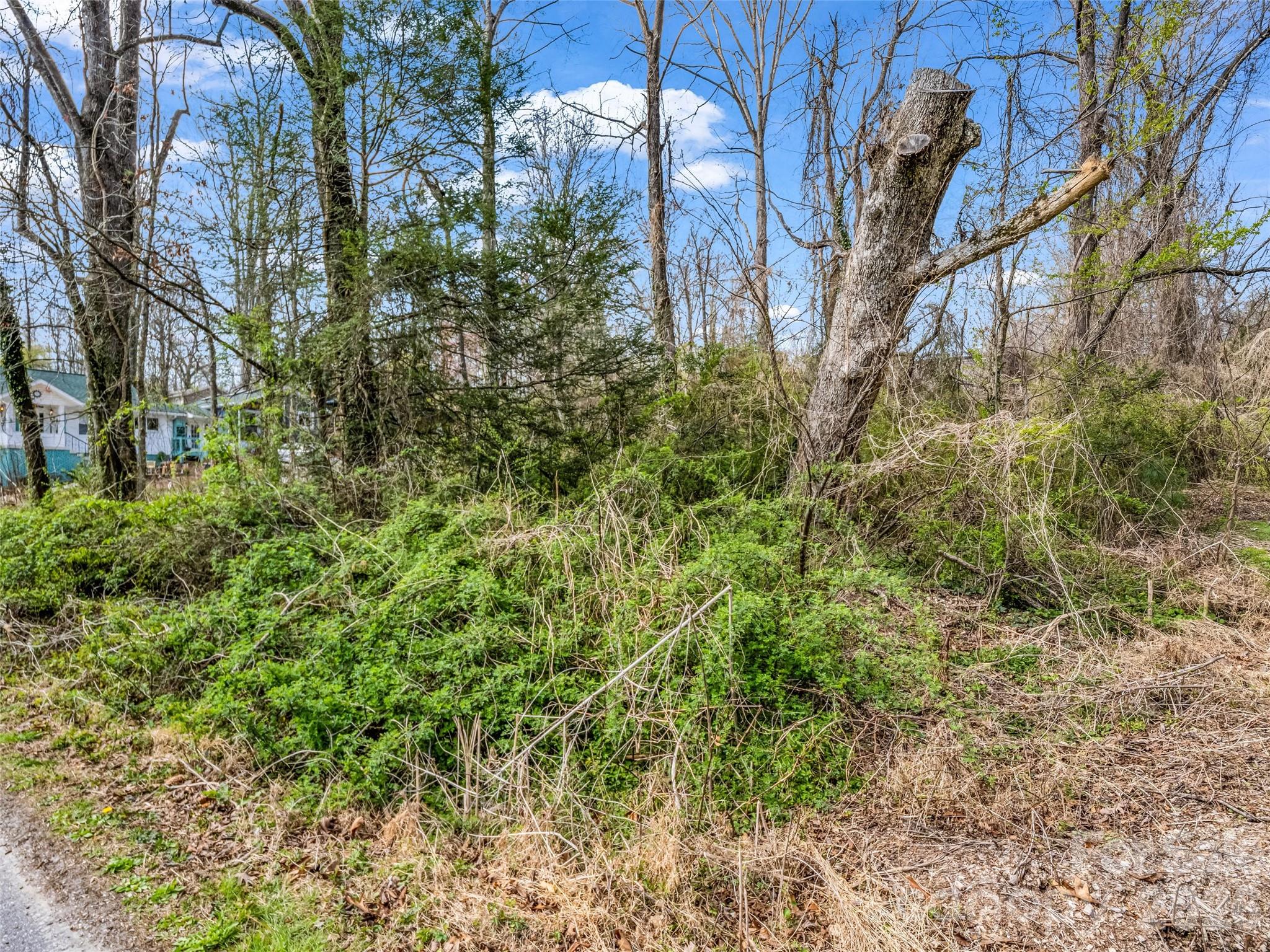 Osceola Lake Park - Land