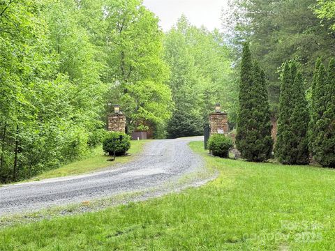 0000 Camp Cove Road Zirconia NC 28790