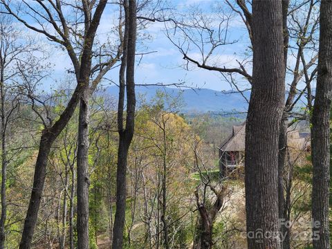 65 Bradford Vista Fletcher NC 28732
