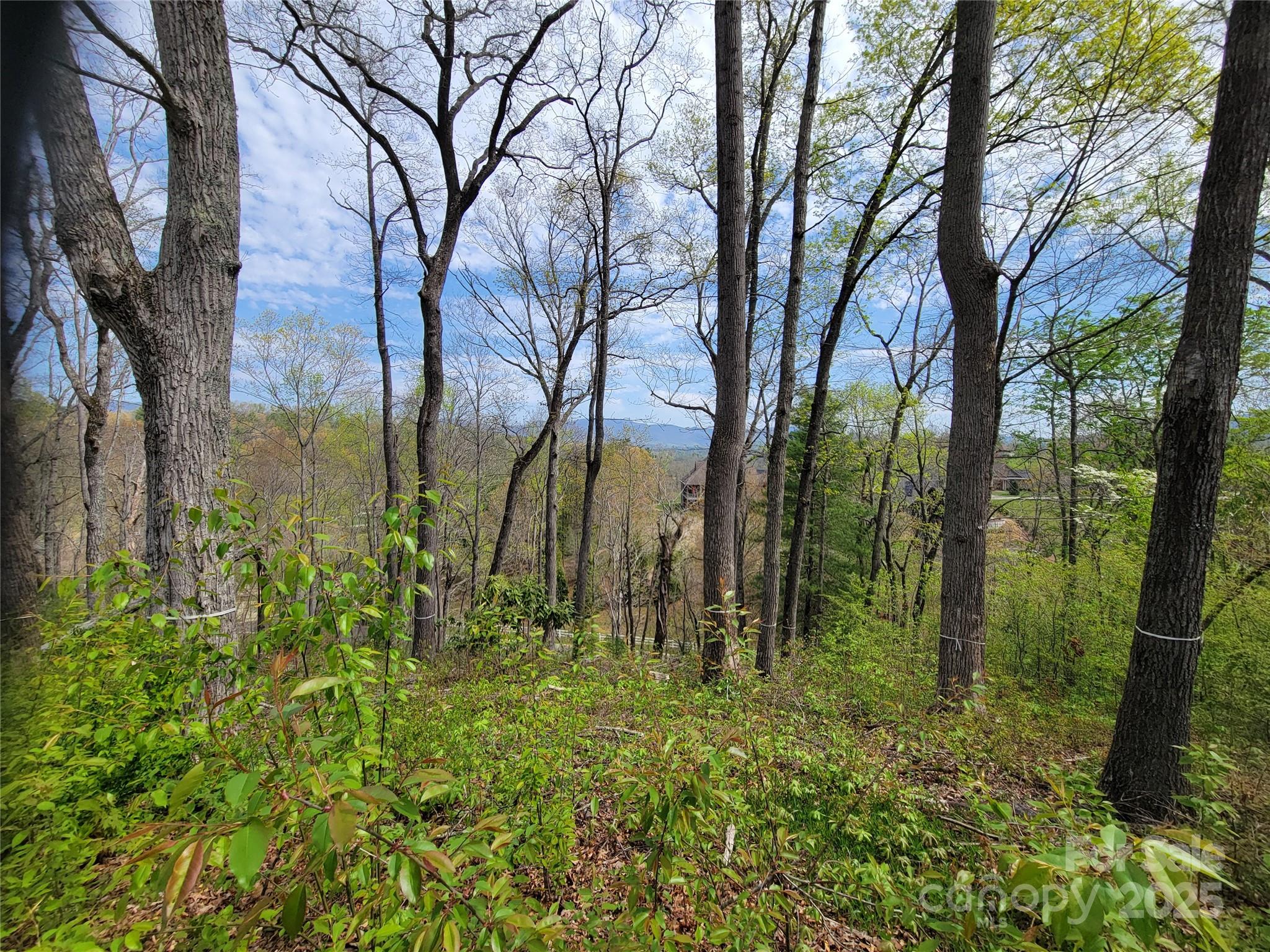 65 Bradford Vista