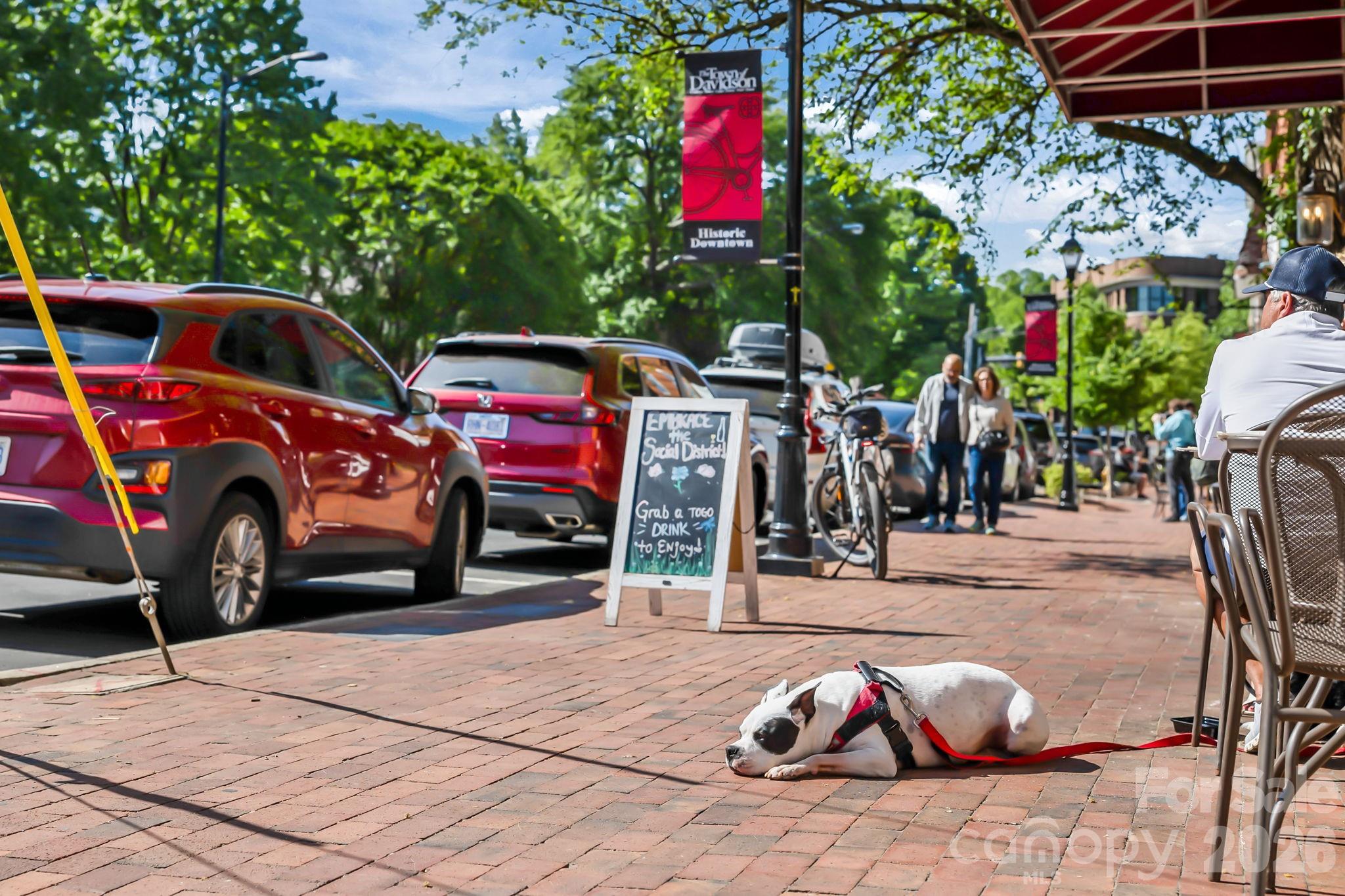 Westbranch - Residential