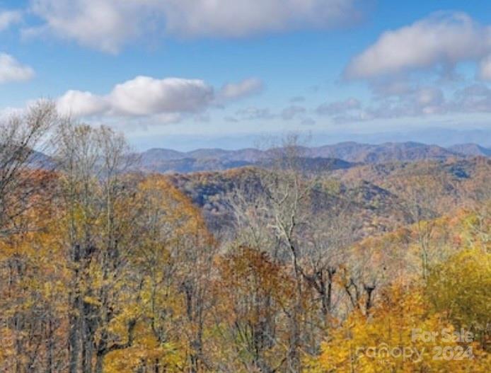 Wolf Laurel - Residential