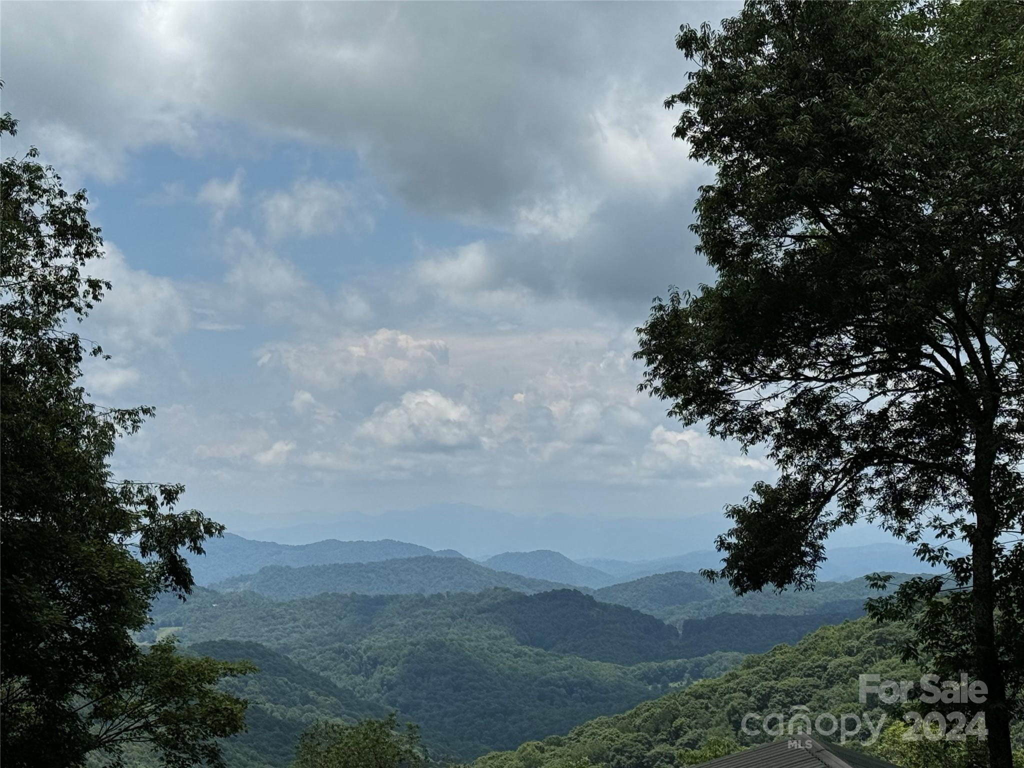 Wolf Laurel - Residential