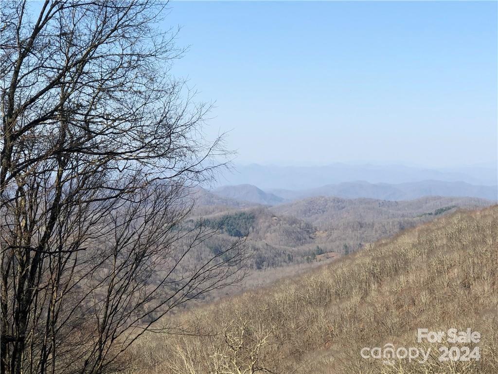 Wolf Laurel - Residential