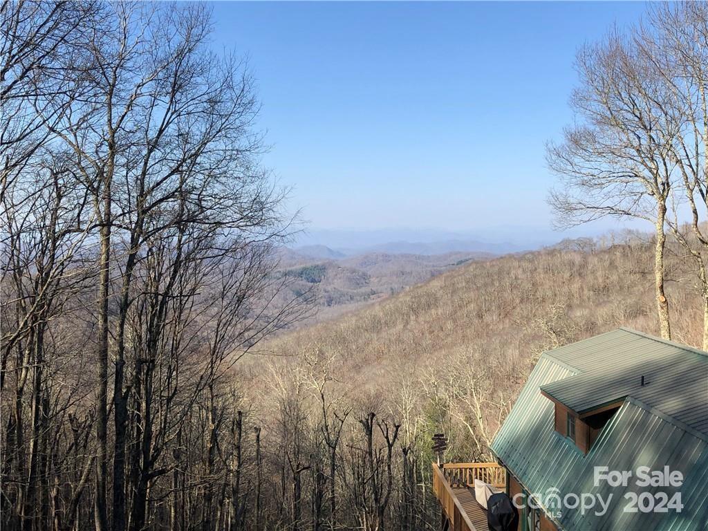 Wolf Laurel - Residential