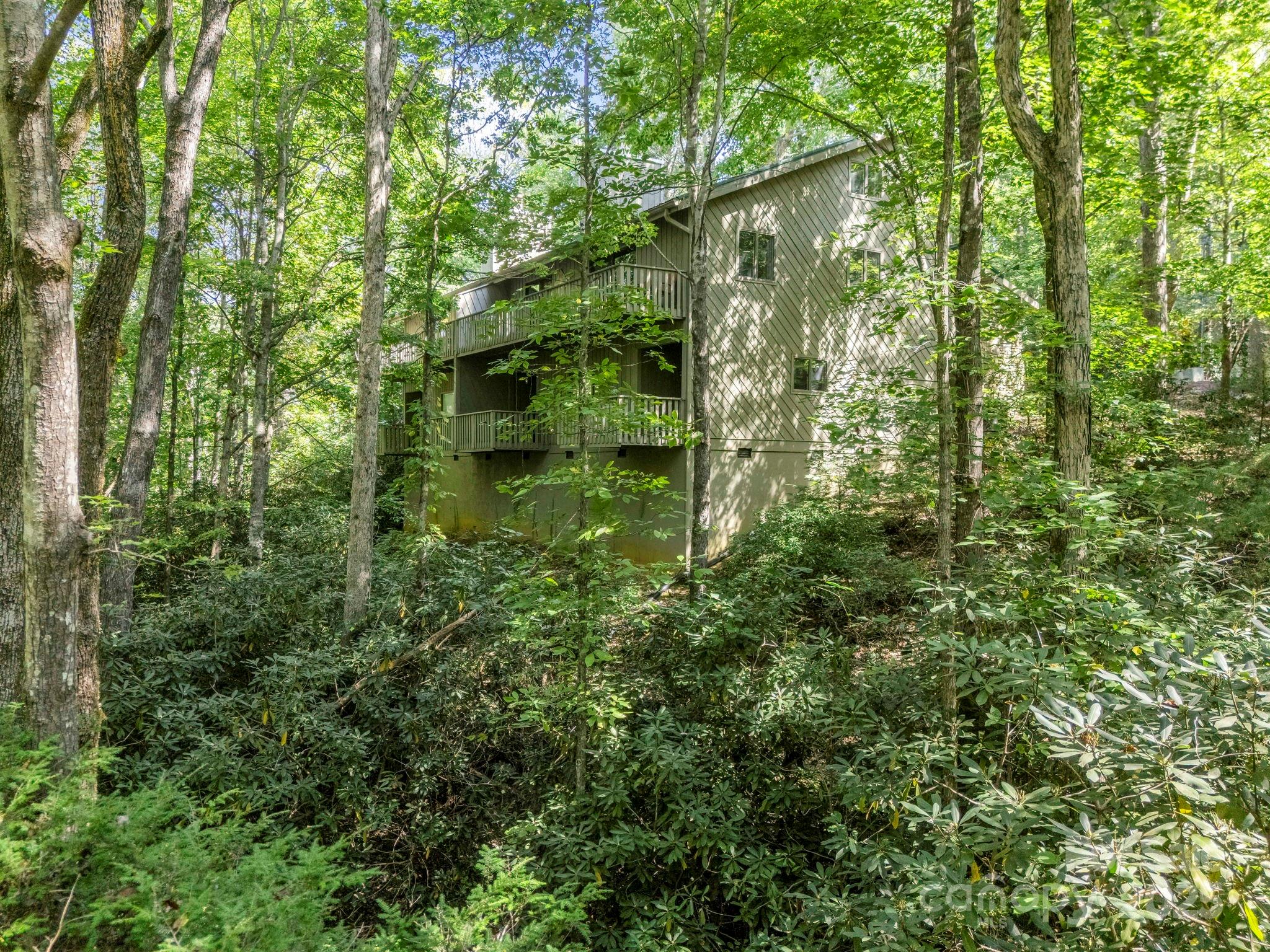 Rumbling Bald on Lake Lure - Residential