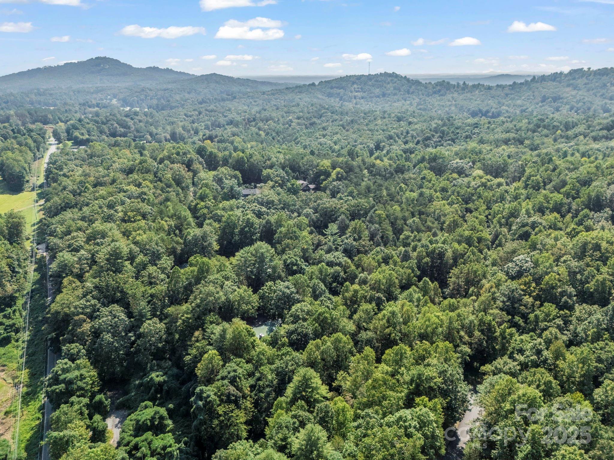 Rumbling Bald on Lake Lure - Residential