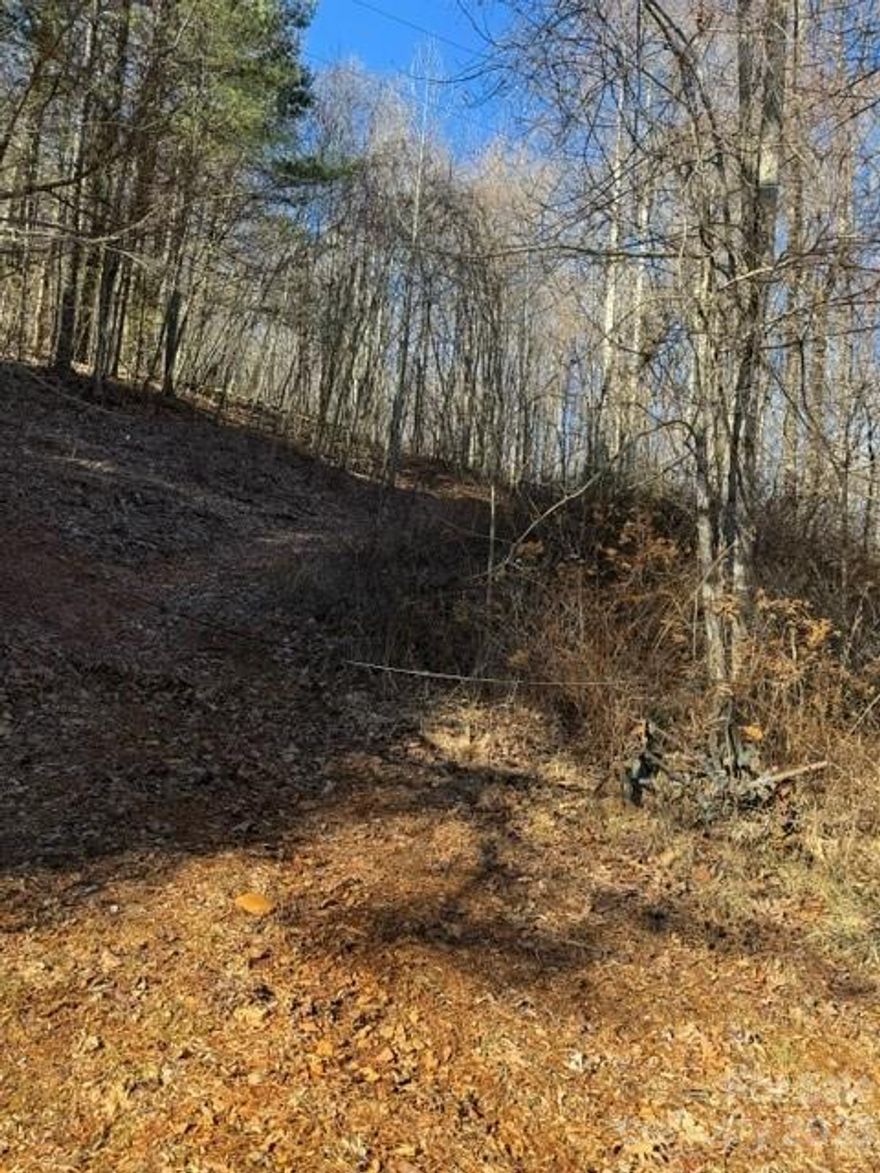 Private 36.62 acres located off Cabin Creek Rd in Zirconia. Very peaceful, private area that will be perfect for building several homes or make it your own private mountain retreat. Mountain views, mostly wooded.