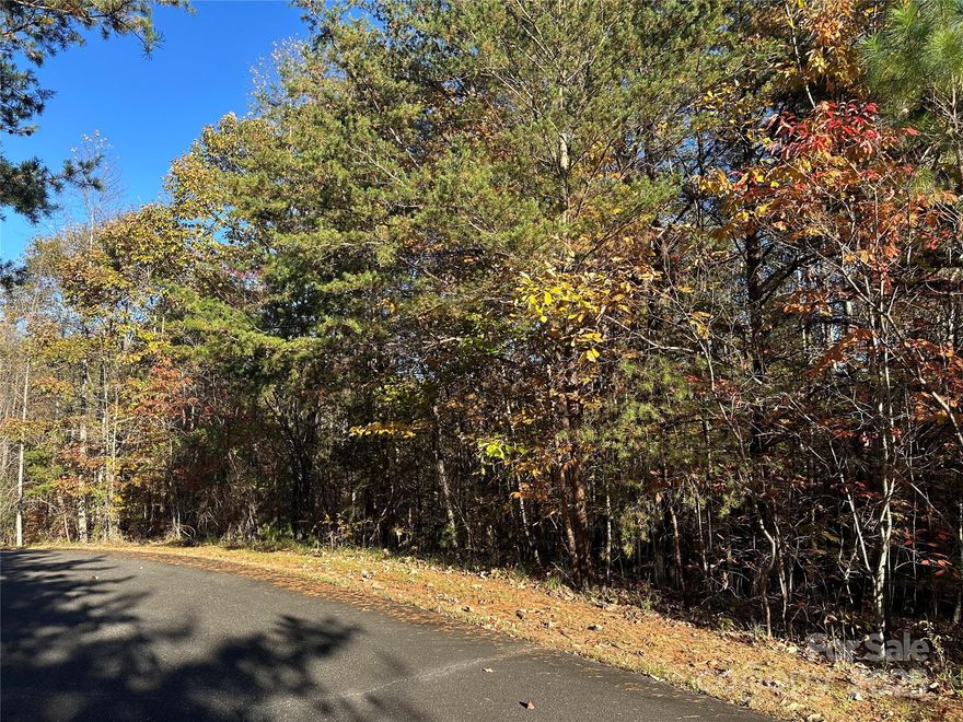 Easy Mountain build site in beautiful Lake Lure. Located in the the desirable upscale community of Vista at Bills Mountain surrounded by the foothills of the Blue Ridge. The community boasts a lodge style clubhouse, fitness center, tennis courts, walking trails, and an outdoor pool with stunning views. Vista at Bills Mountain provides a security gate, paved roads, underground utilities, and available high speed internet. This 1 acre lot is a must see and just waiting for someone to build a dream full time or part time showcase. Come and see it today!