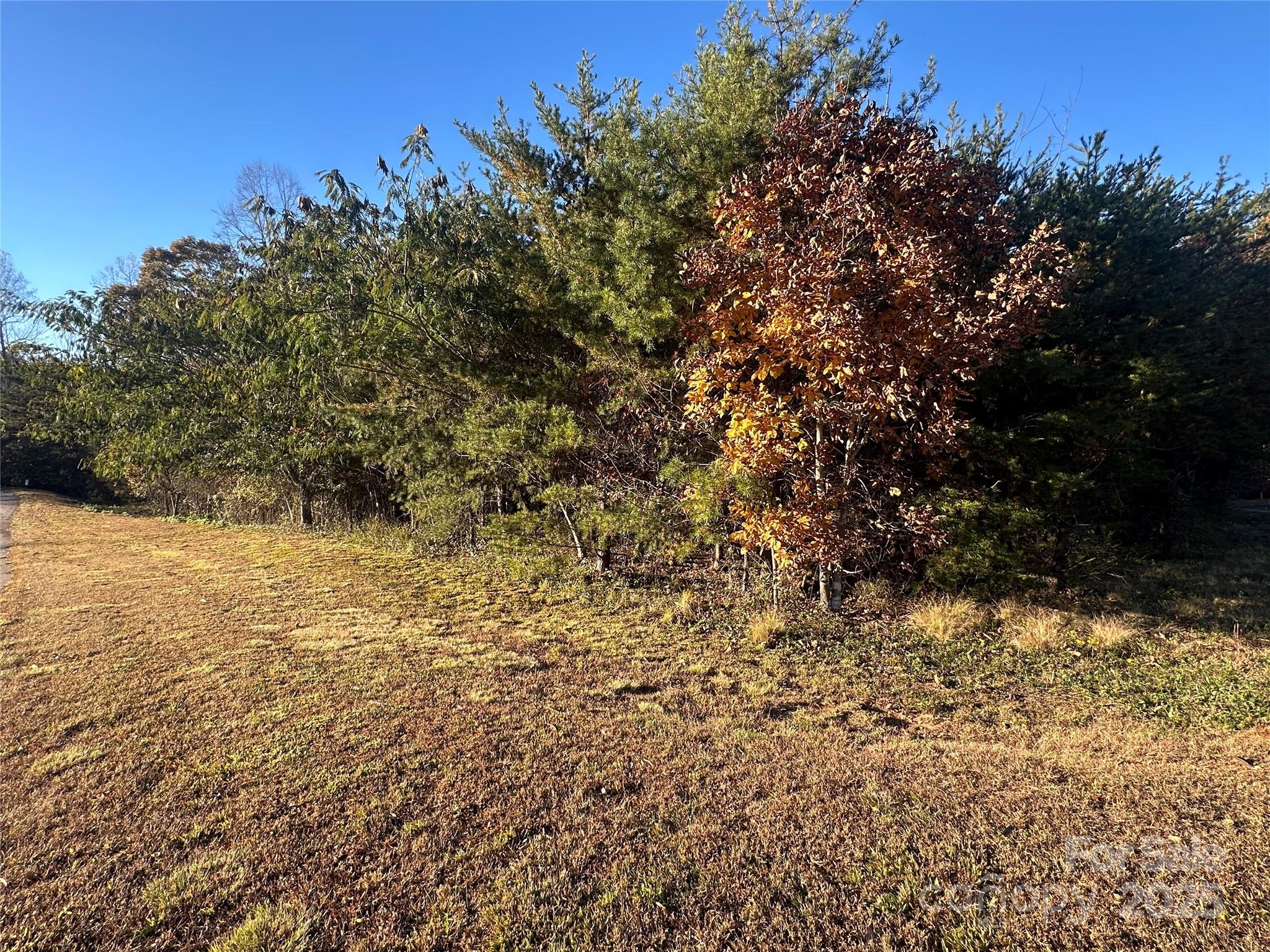 Vista At Bills Mountain - Land