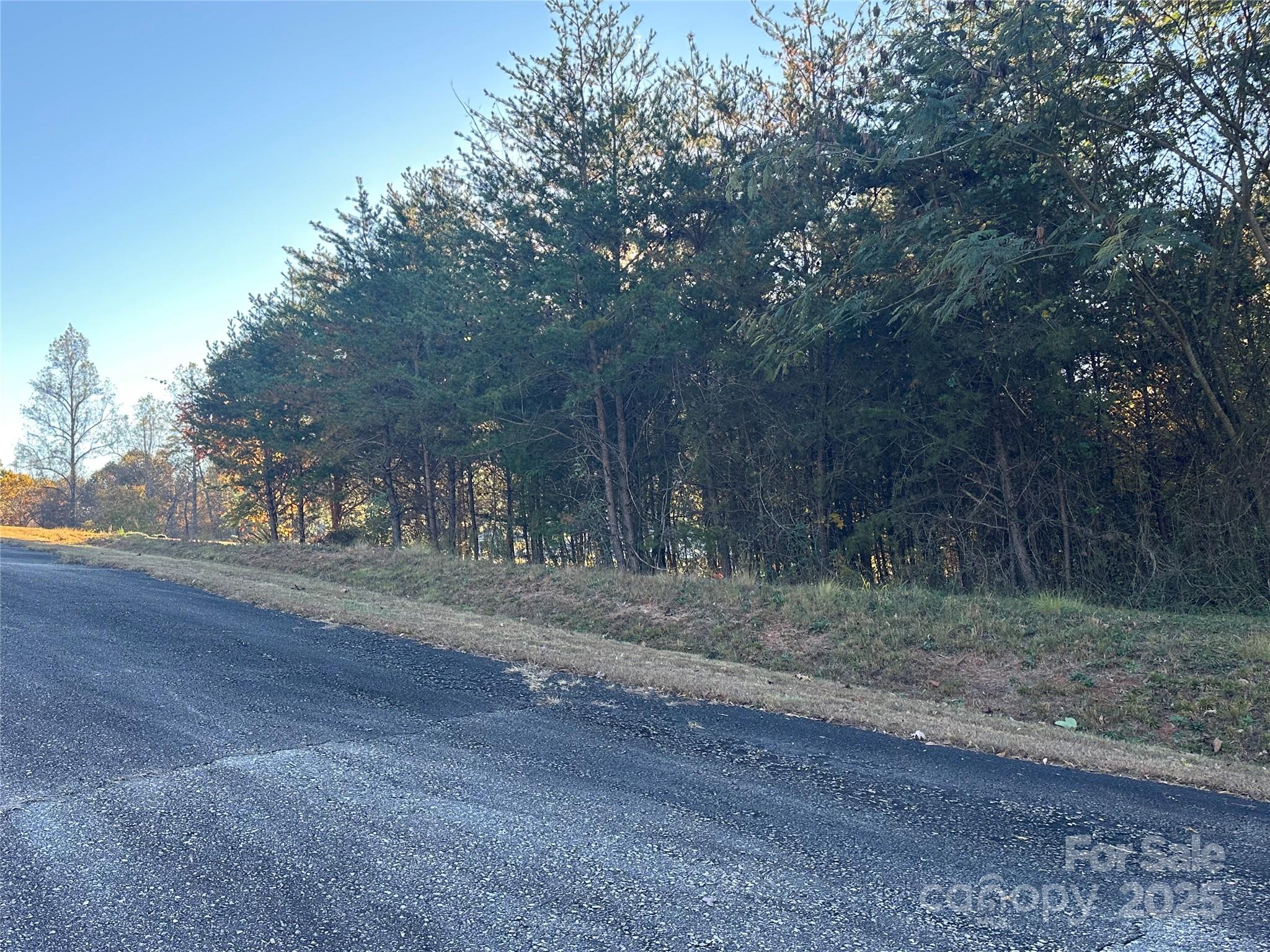 Vista At Bills Mountain - Land