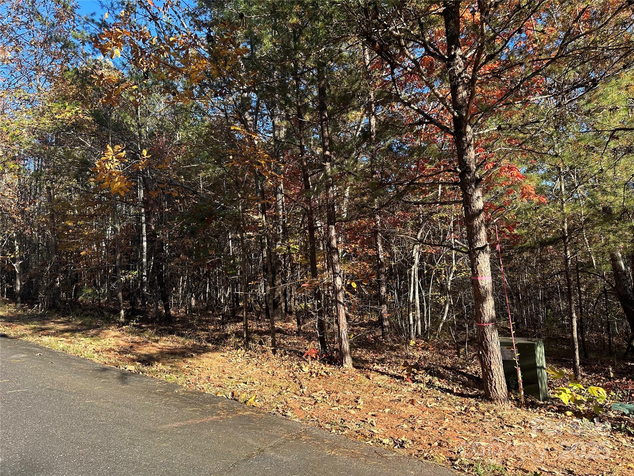 0 Rock Ledge Drive 339