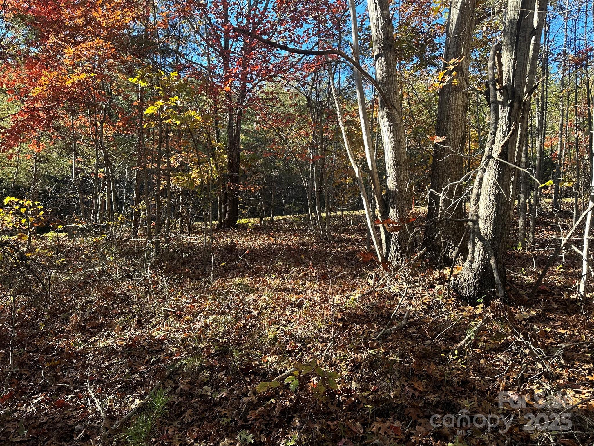 0 Rock Ledge Drive 339