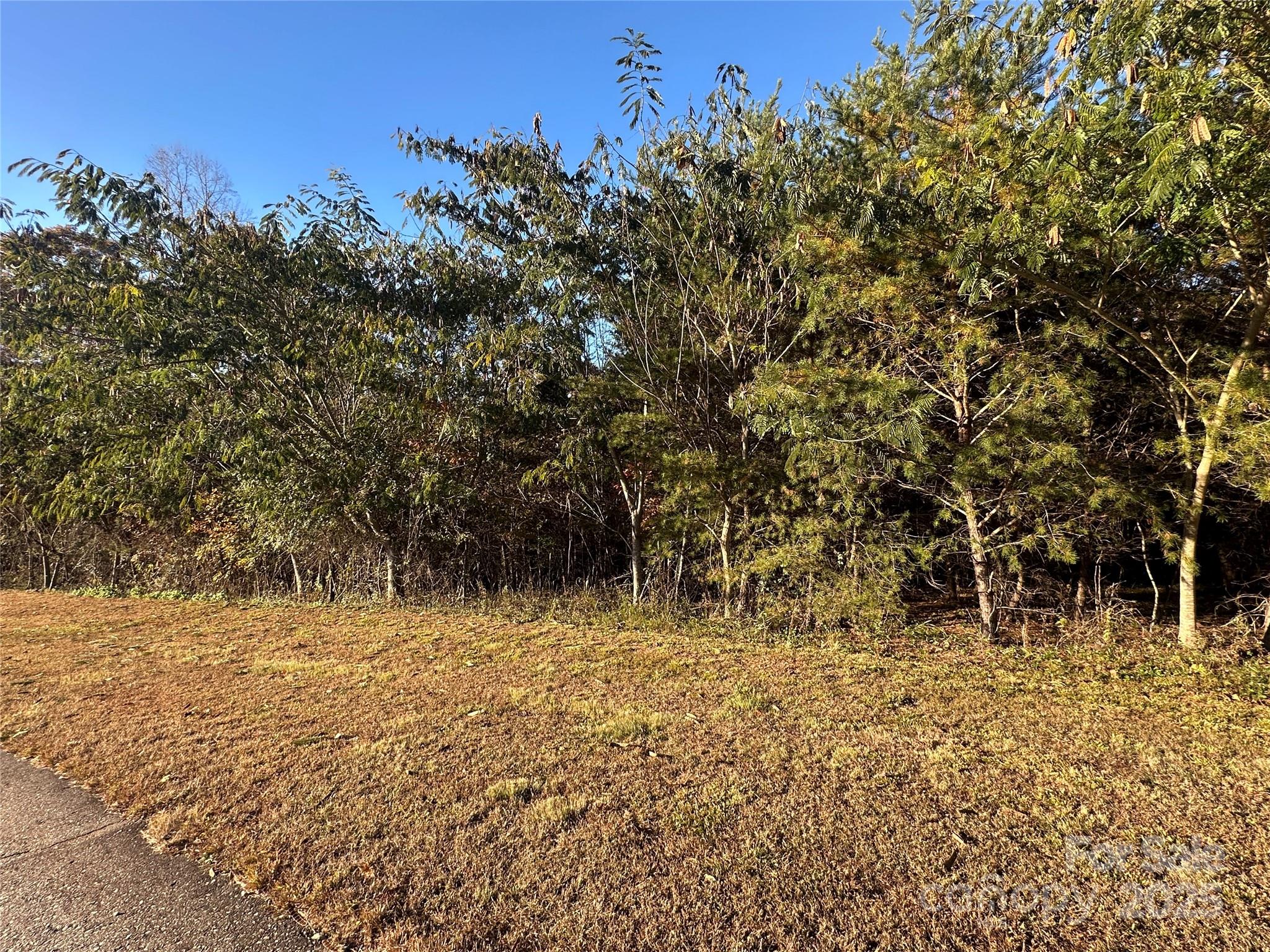 Vista At Bills Mountain - Land
