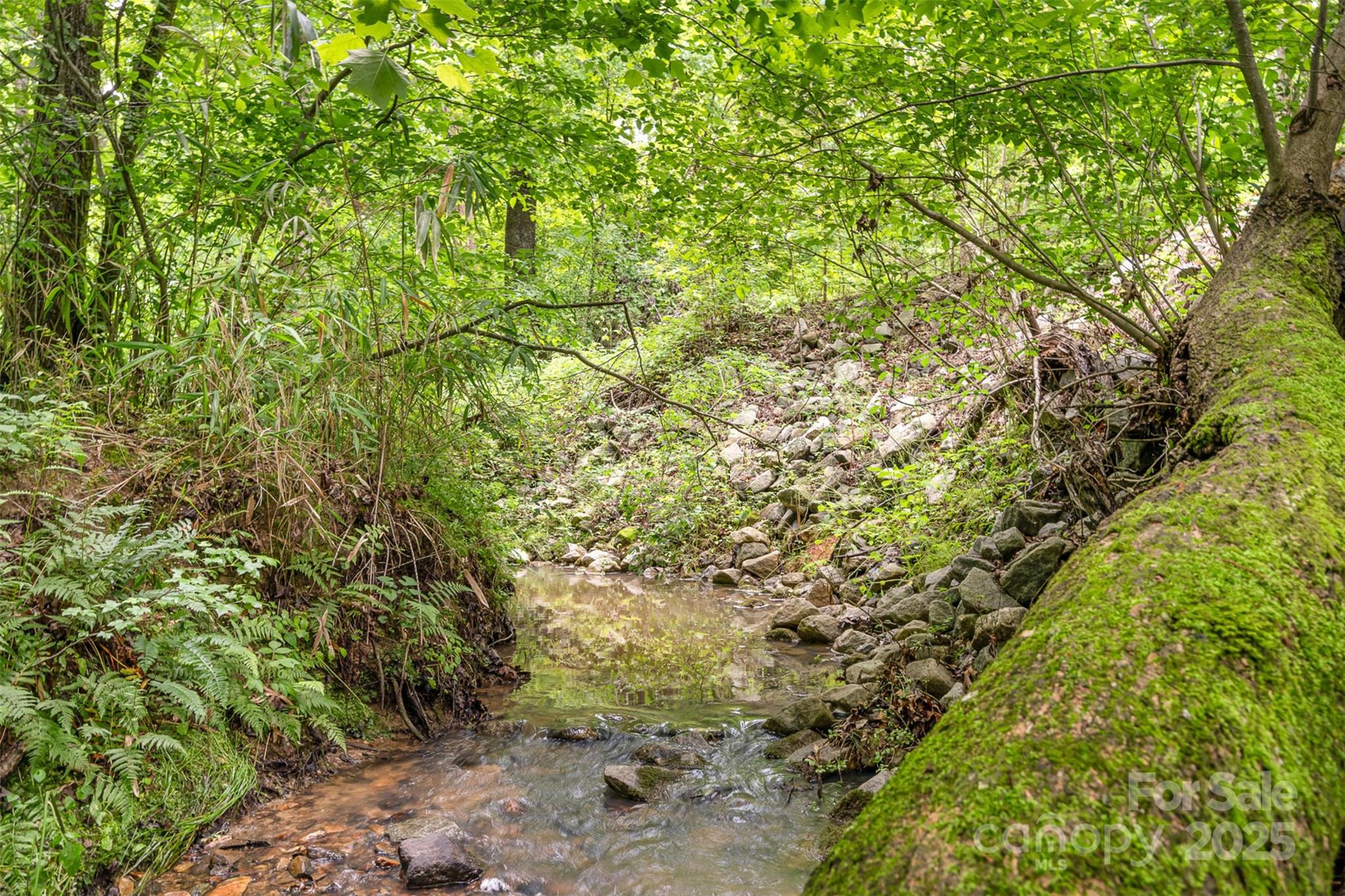 Laurel Woods - Residential