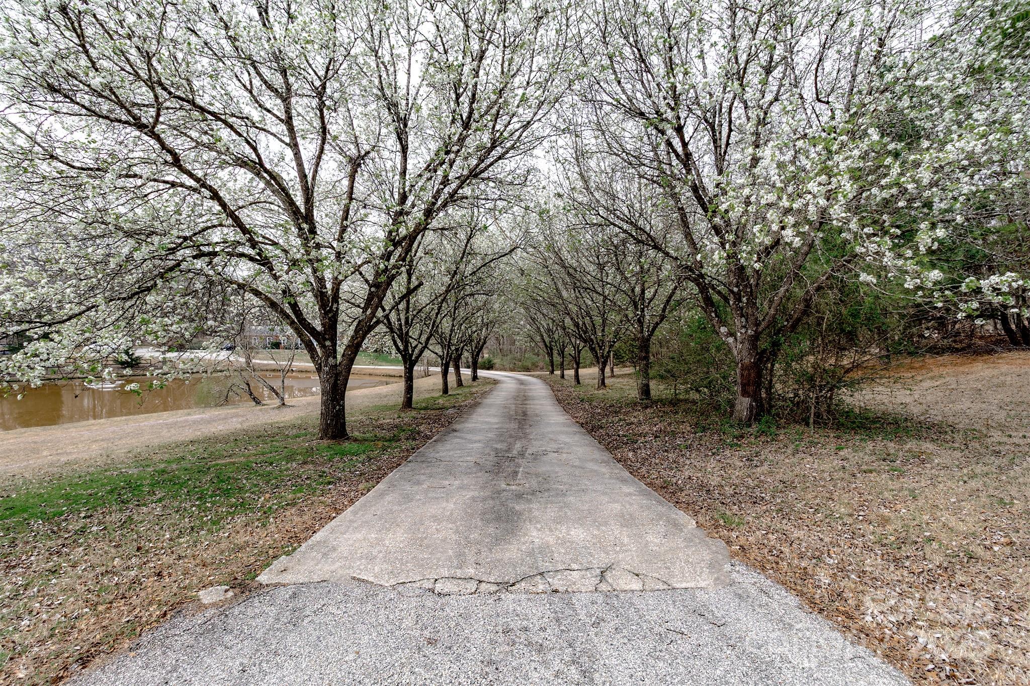 Caroline Acres - Residential