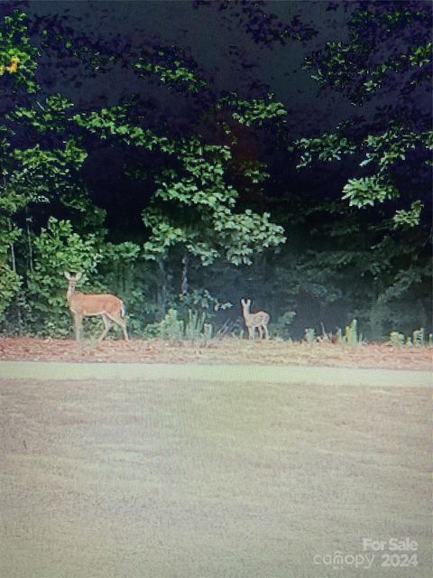 A home in Gastonia