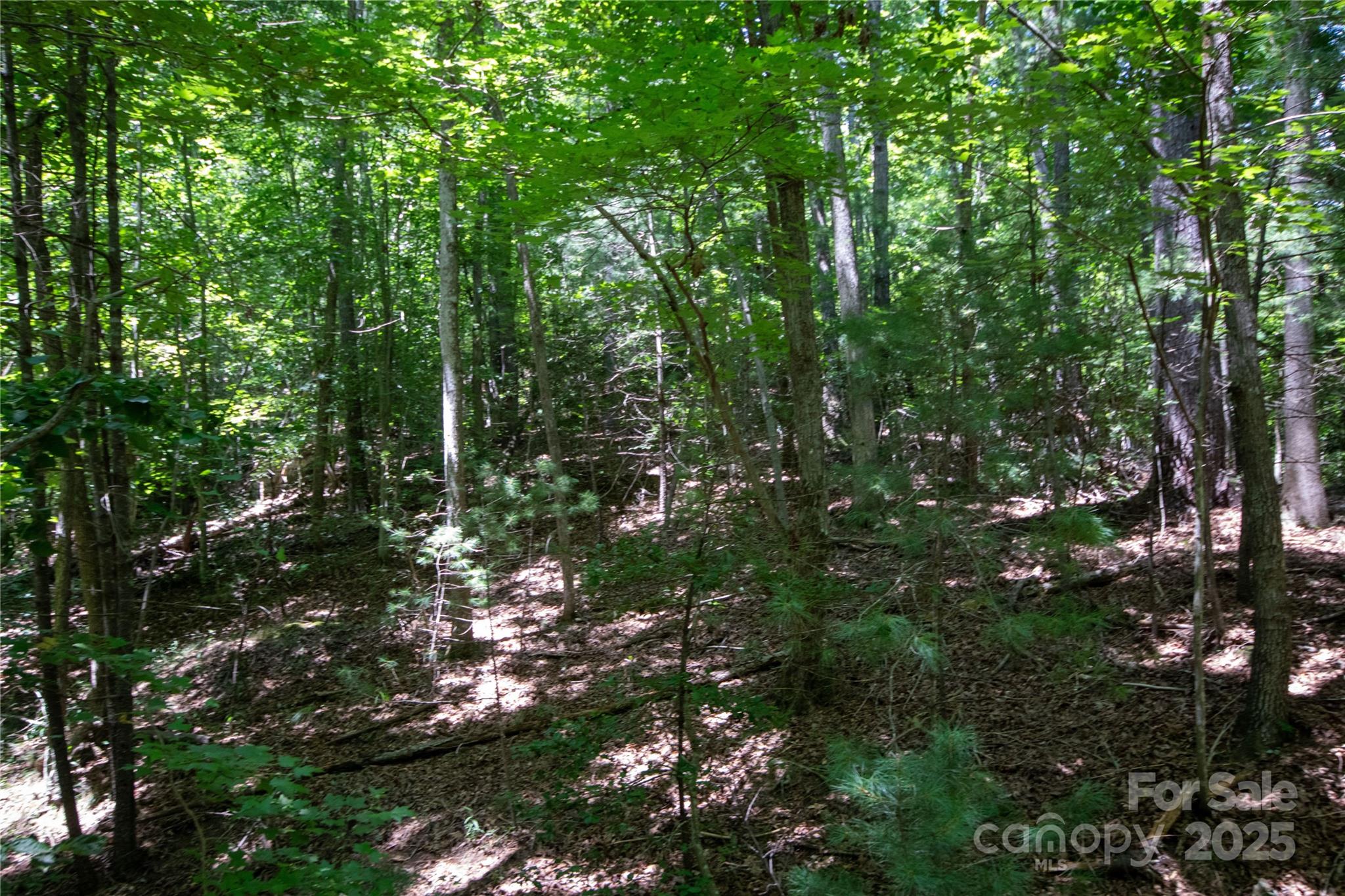 LOT 111 Stoney Brook Drive 111