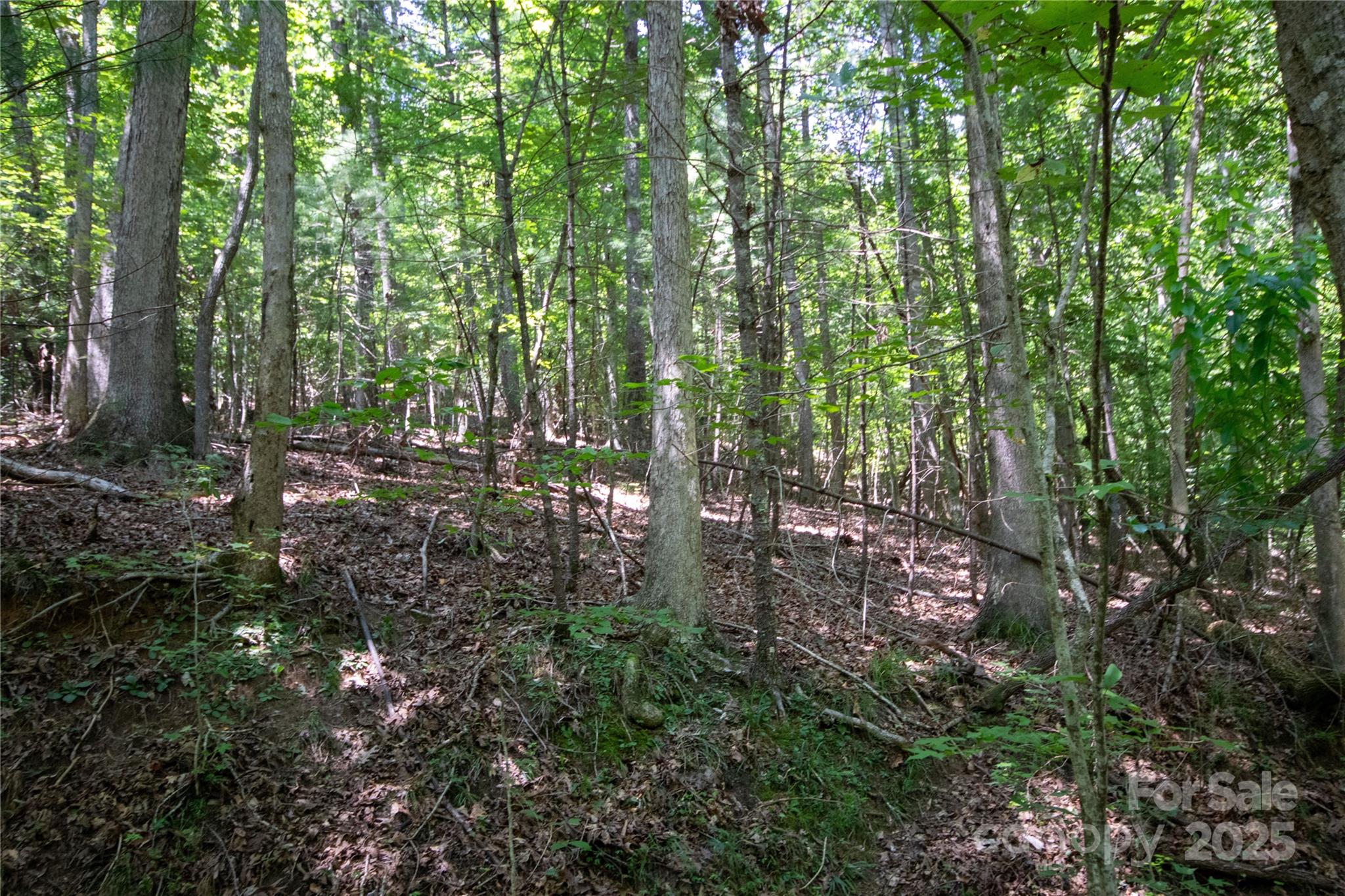 LOT 111 Stoney Brook Drive 111