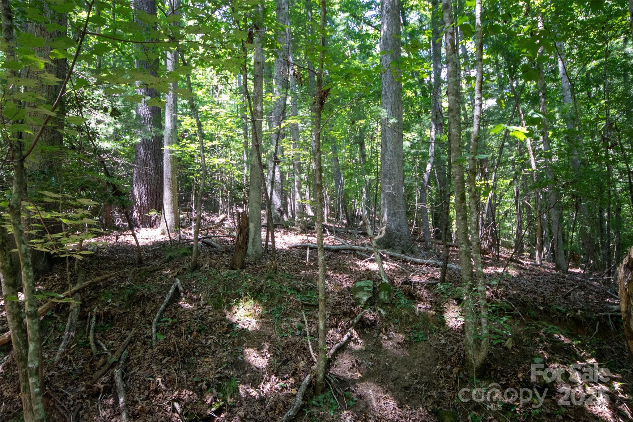 LOT 111 Stoney Brook Drive 111