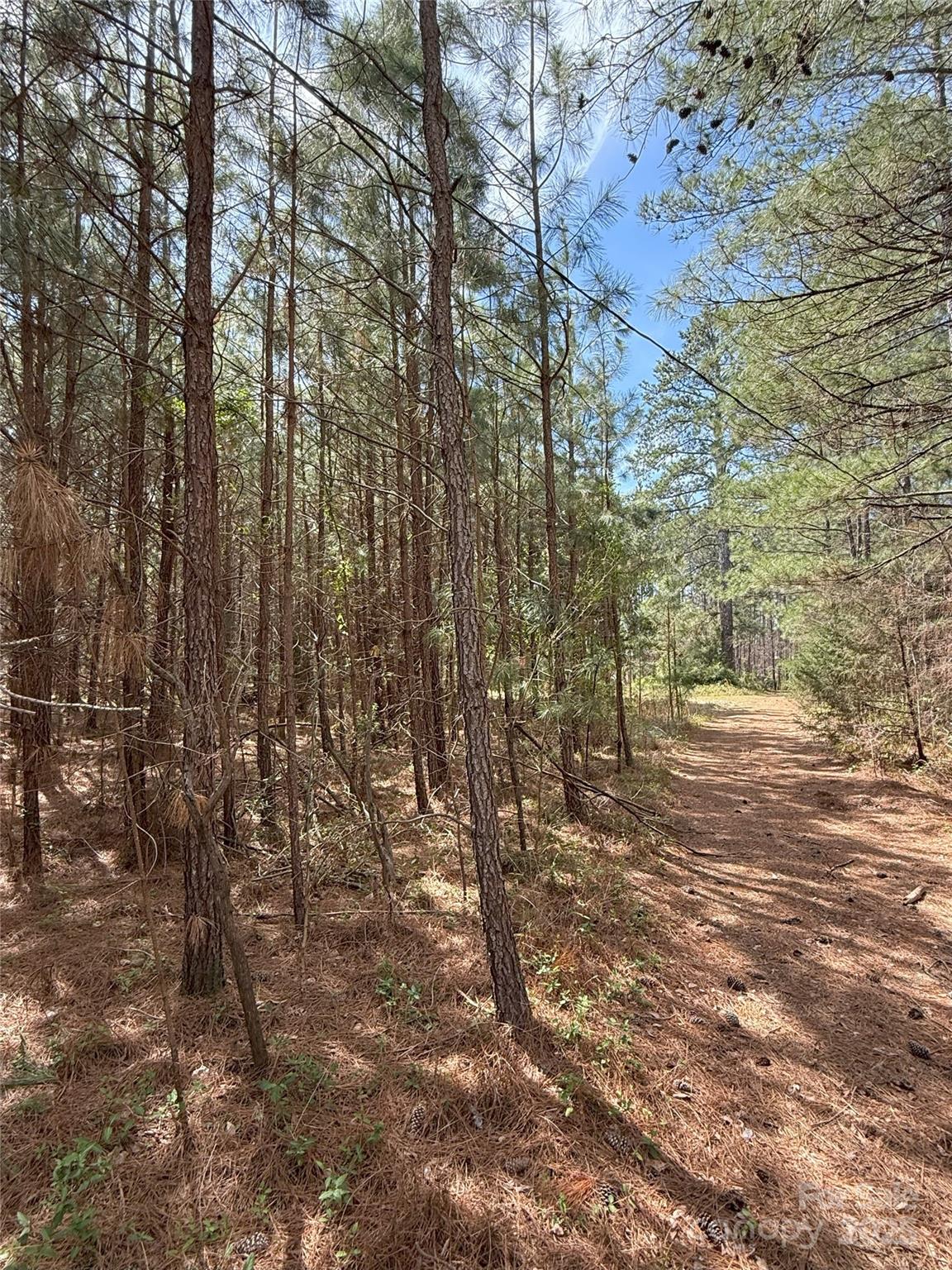 656 Skyline Drive