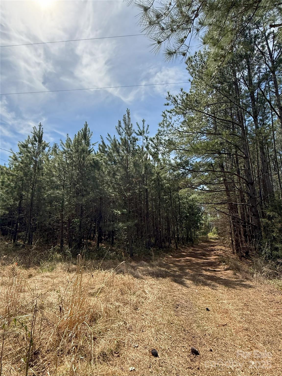 656 Skyline Drive