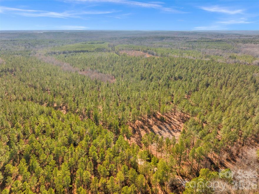 Amazing opportunity for 10+ Acre homestead, FOR SALE! This is a Private wooded lot with mature manicured pines and other mixed timber such as oak trees. The combined topography and mature forest provides gorgeous nature views and is aesthetically pleasing. If you are wanting a large homestead, farm, equestrian estate, a large garden, hunting & recreation activities, this is the land for you! A healthy forest like this produces an abundance of wildlife; this land is full of deer and other animals. Located in the highly desirable McConnells, SC, this land is very close to modern amenities; About 20 min from Dave Lyle BLVD Rock Hill; close proximity to Fort Mill, Rock Hill, and York. There is about 400' of road frontage on Peacehaven Dr. There is electric utilities available to the north. The size of this land with pine production also allows an opportunity to apply for deferred property taxes through York County tax assessors office. Pursue building your dream estate for your country lifestyle! ** Subject to Survey ** More Land Available for Sale **No Manufactured Homes**