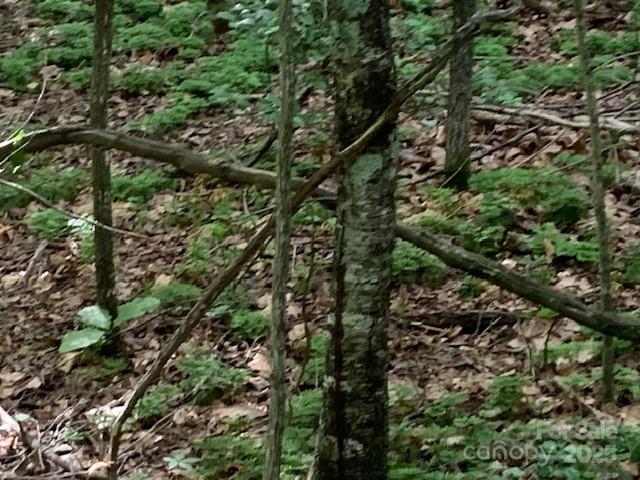 7.67 AC. HOLBERT COVE Road 7.67 AC.