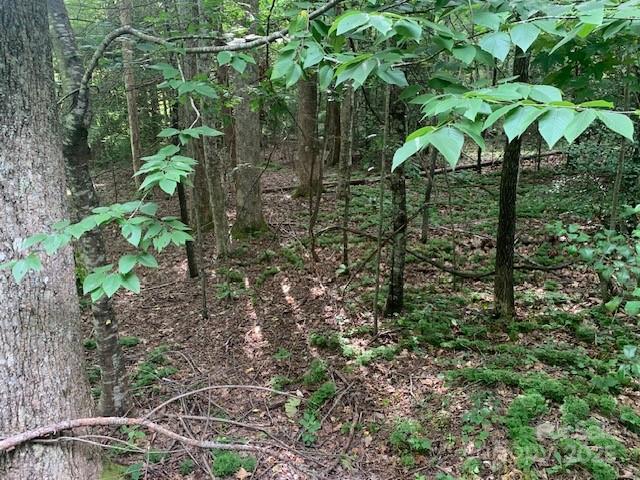 7.67 AC. HOLBERT COVE Road 7.67 AC.