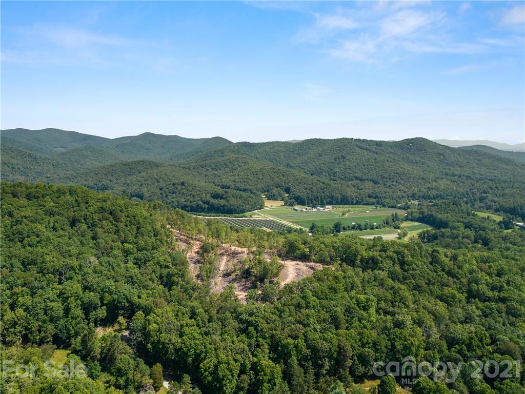 000 Shining Rock Path 69