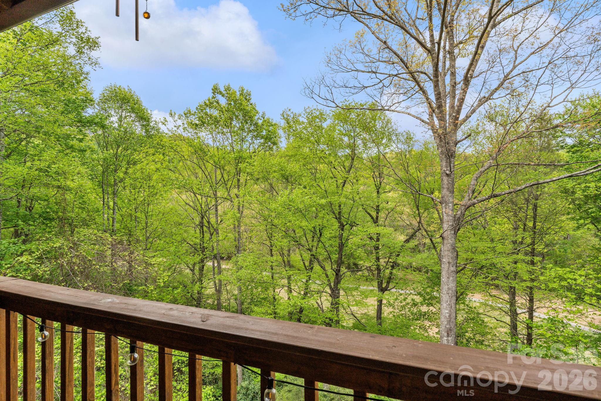 Mt. Mitchell Lands - Residential