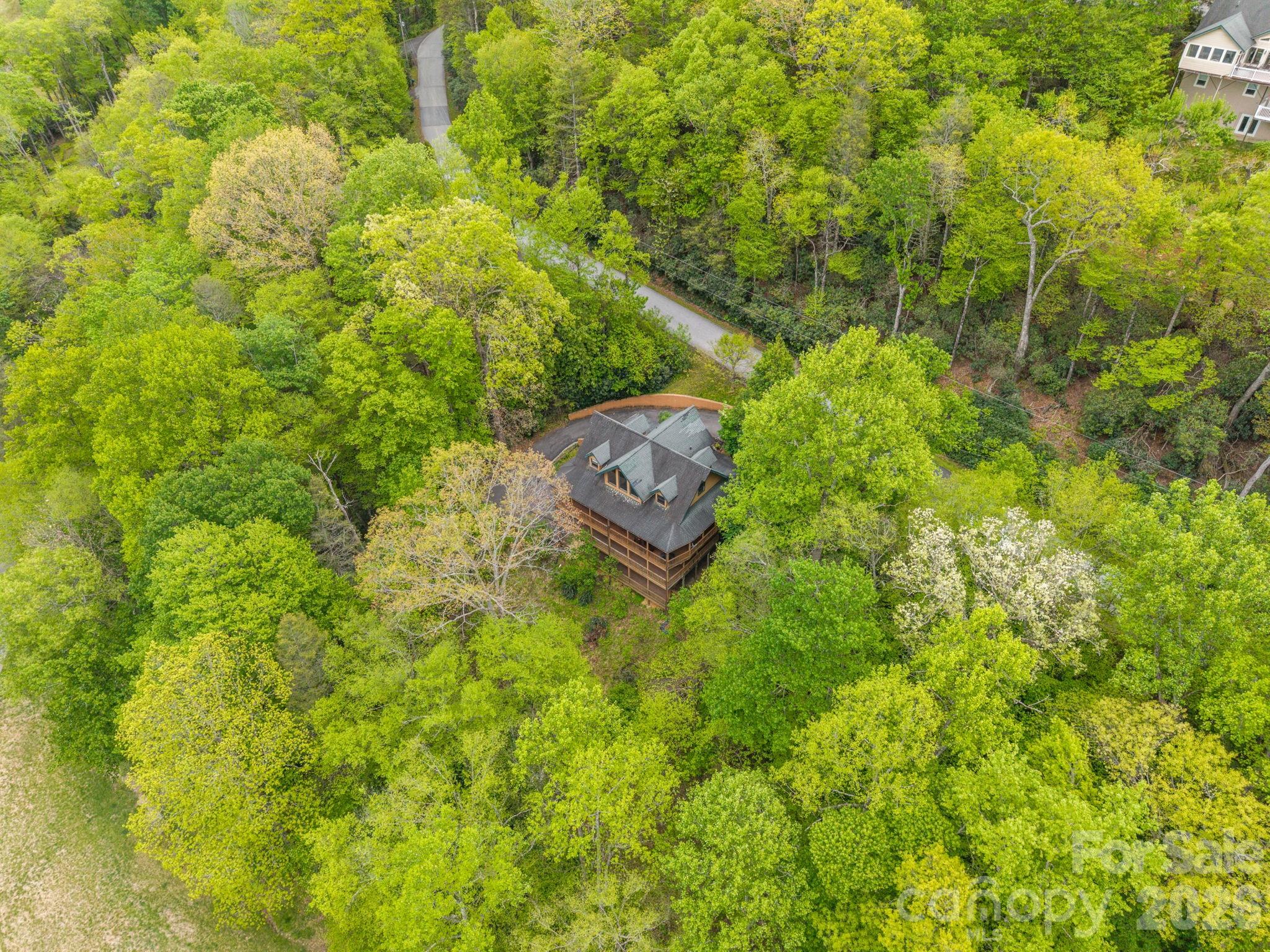 Mt. Mitchell Lands - Residential