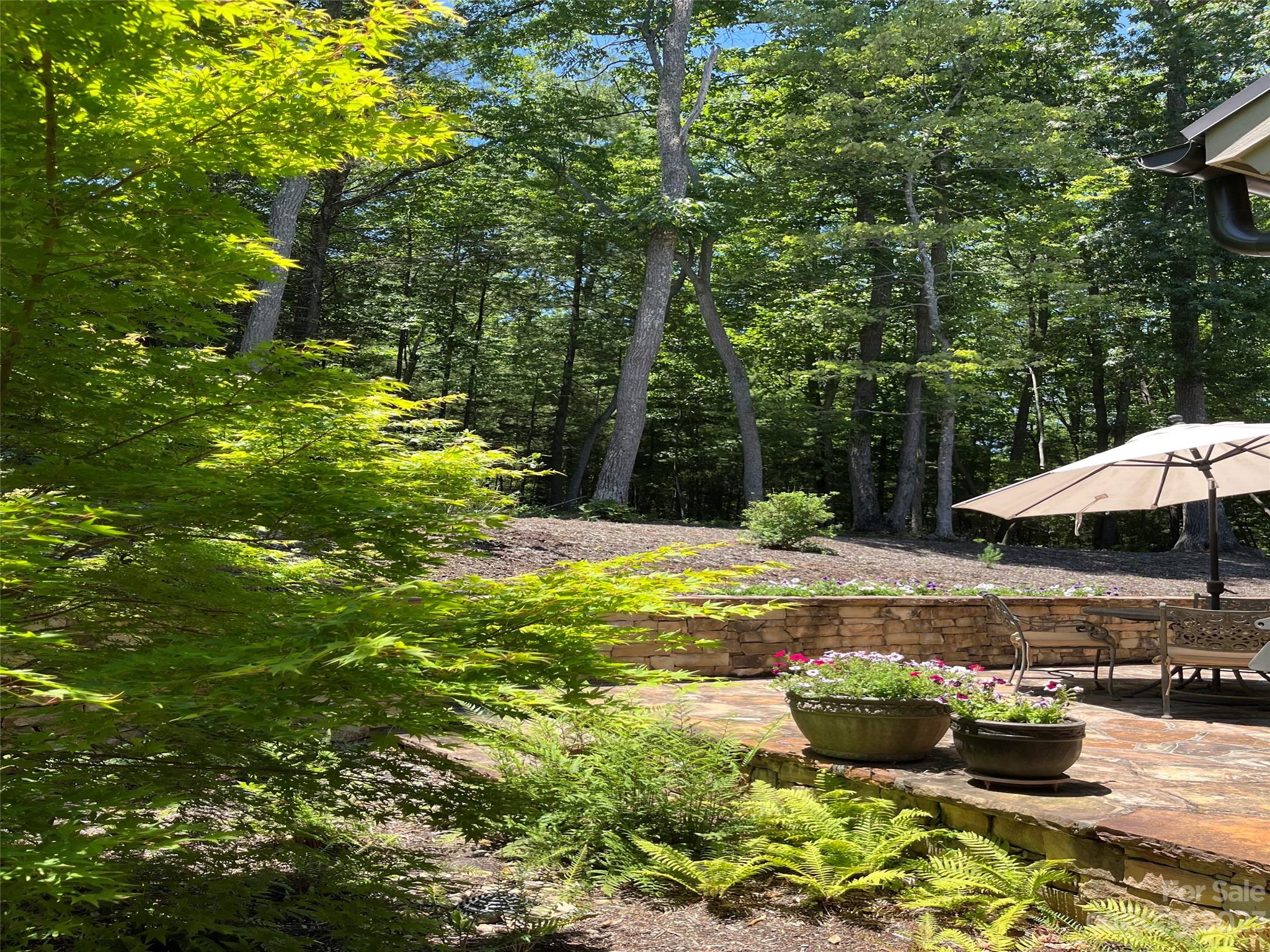 Ramble Biltmore Forest - Residential