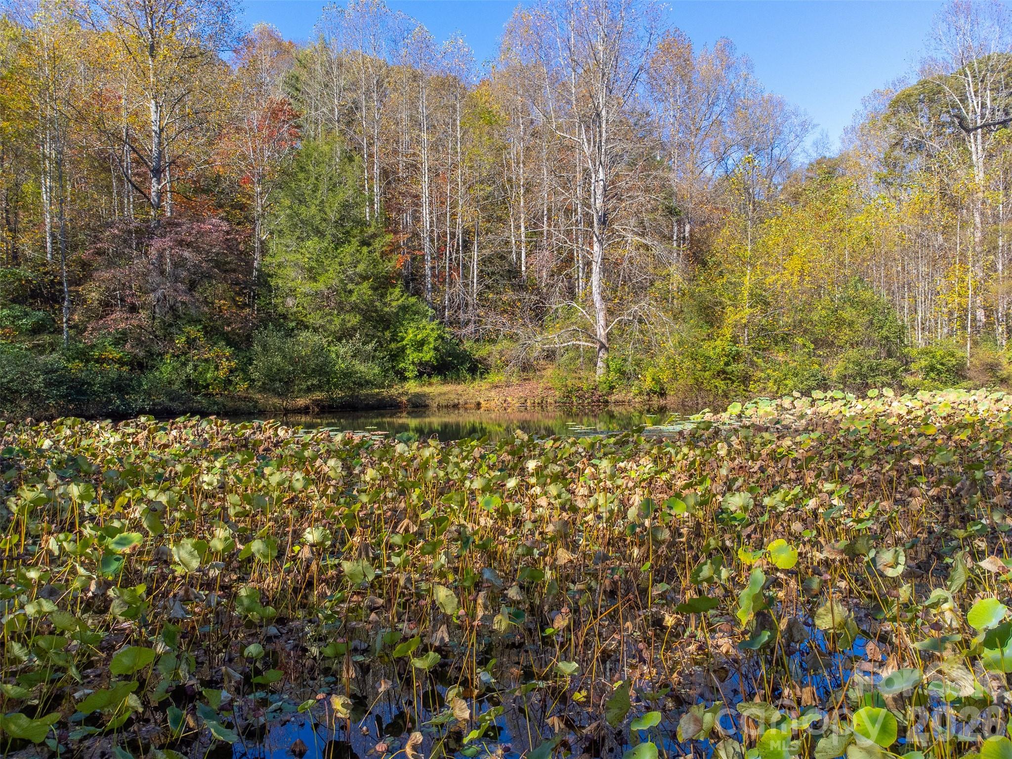 Trimont Trail - Residential