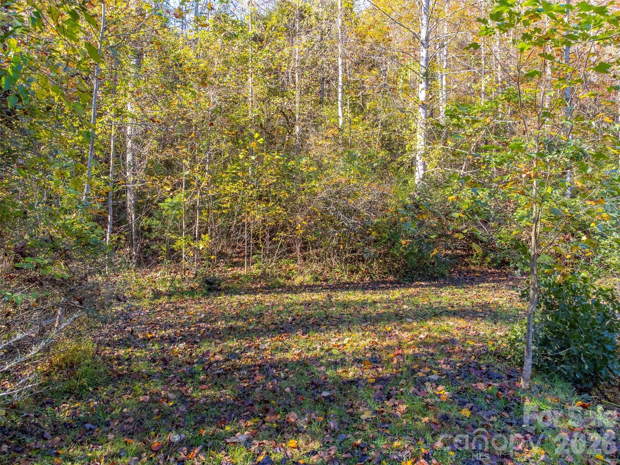 Trimont Trail - Residential