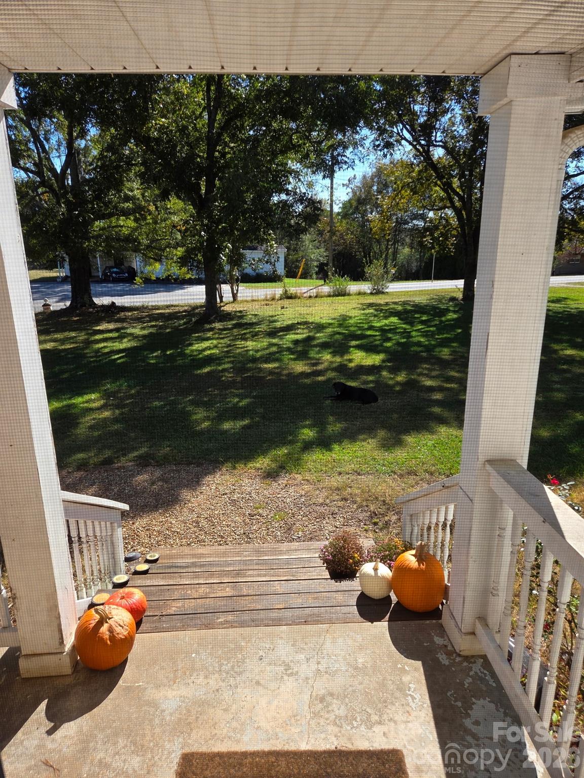 923 Green Creek Drive